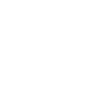 10-agt.png