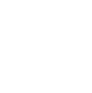 11-survivor.png