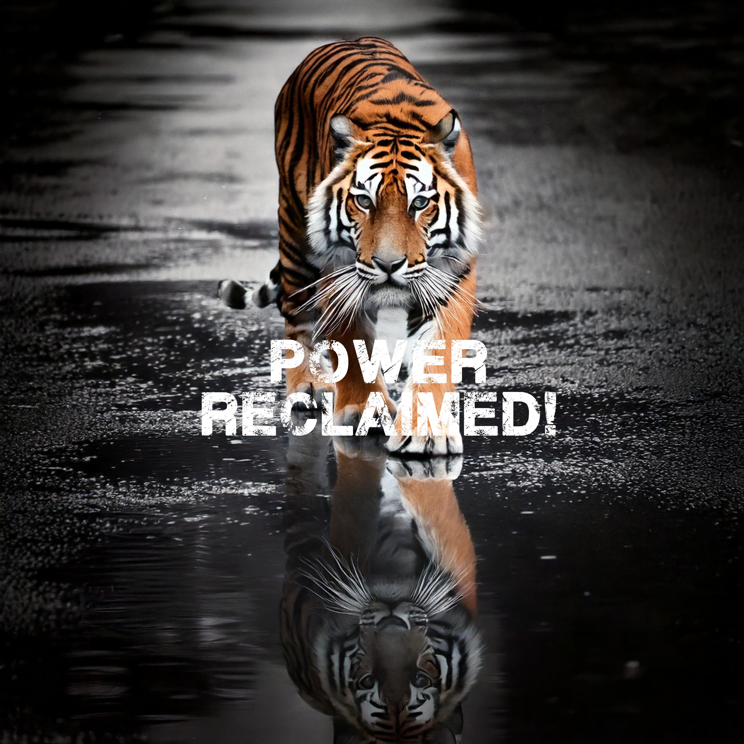 POWER RECLAIMED GRAPHIC.jpg