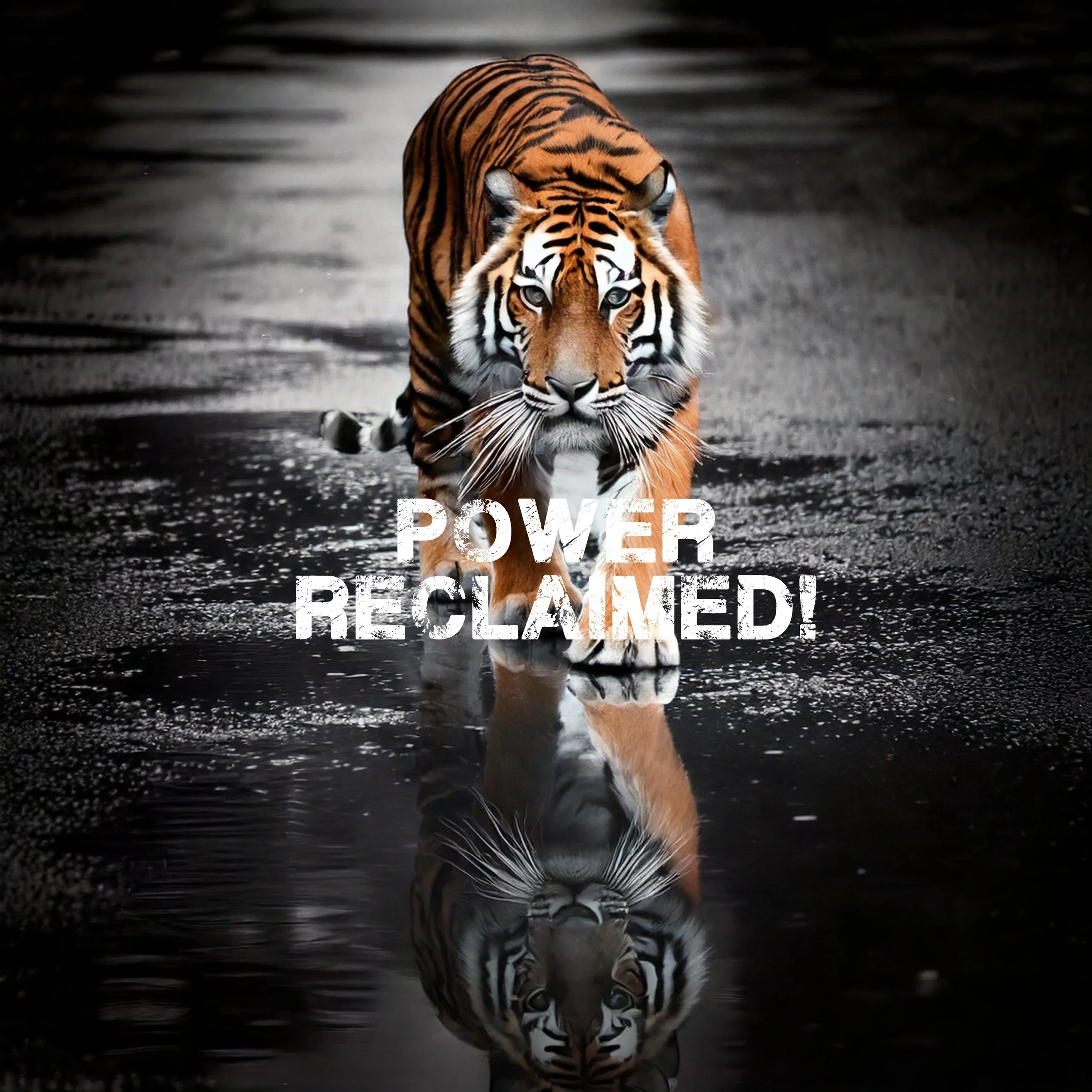 POWER RECLAIMED GRAPHIC.jpg