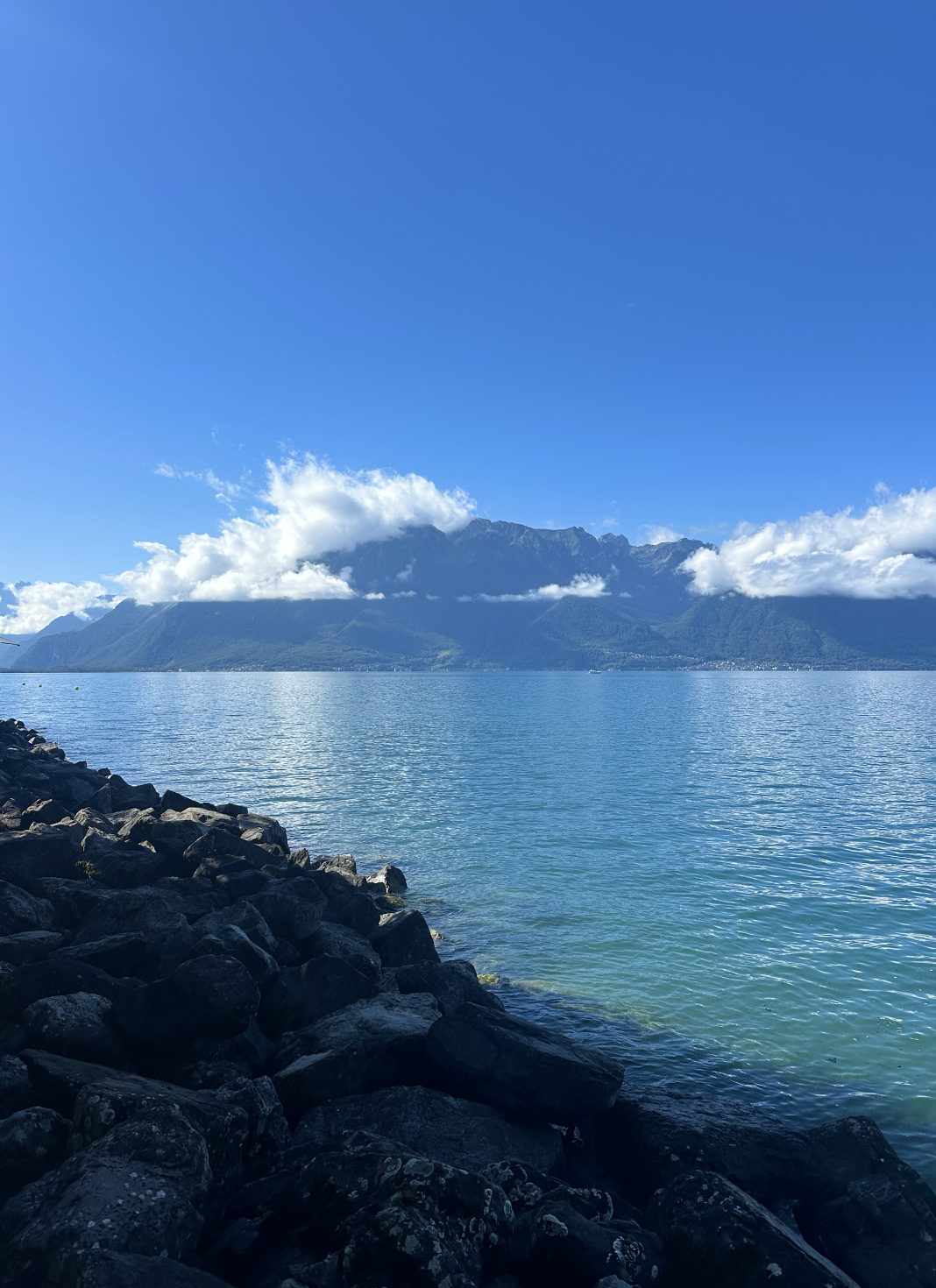 Reconnecting With SoCal and Losing My International Competition Virginity: MAW and Vevey!