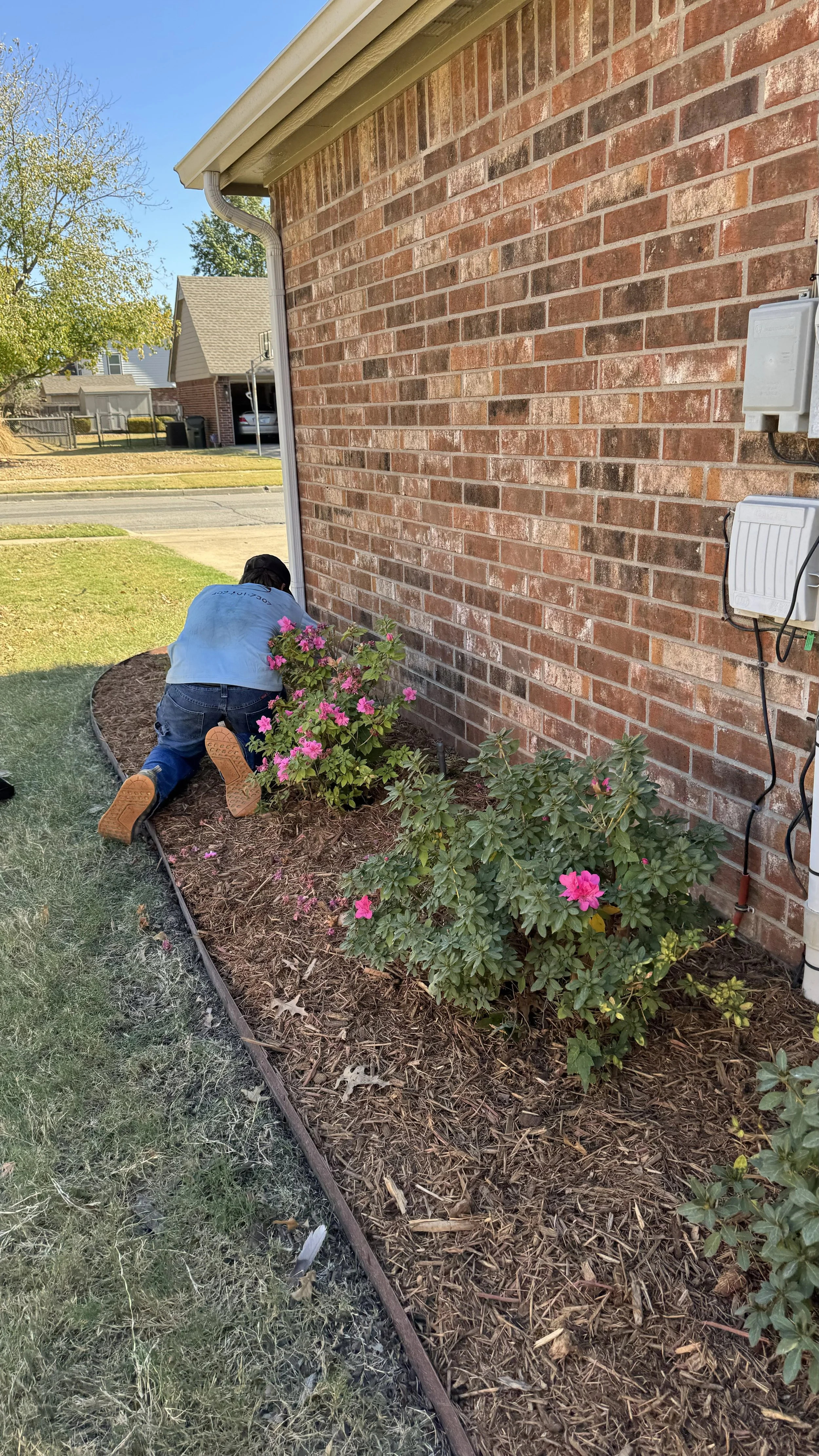 weed-pulling