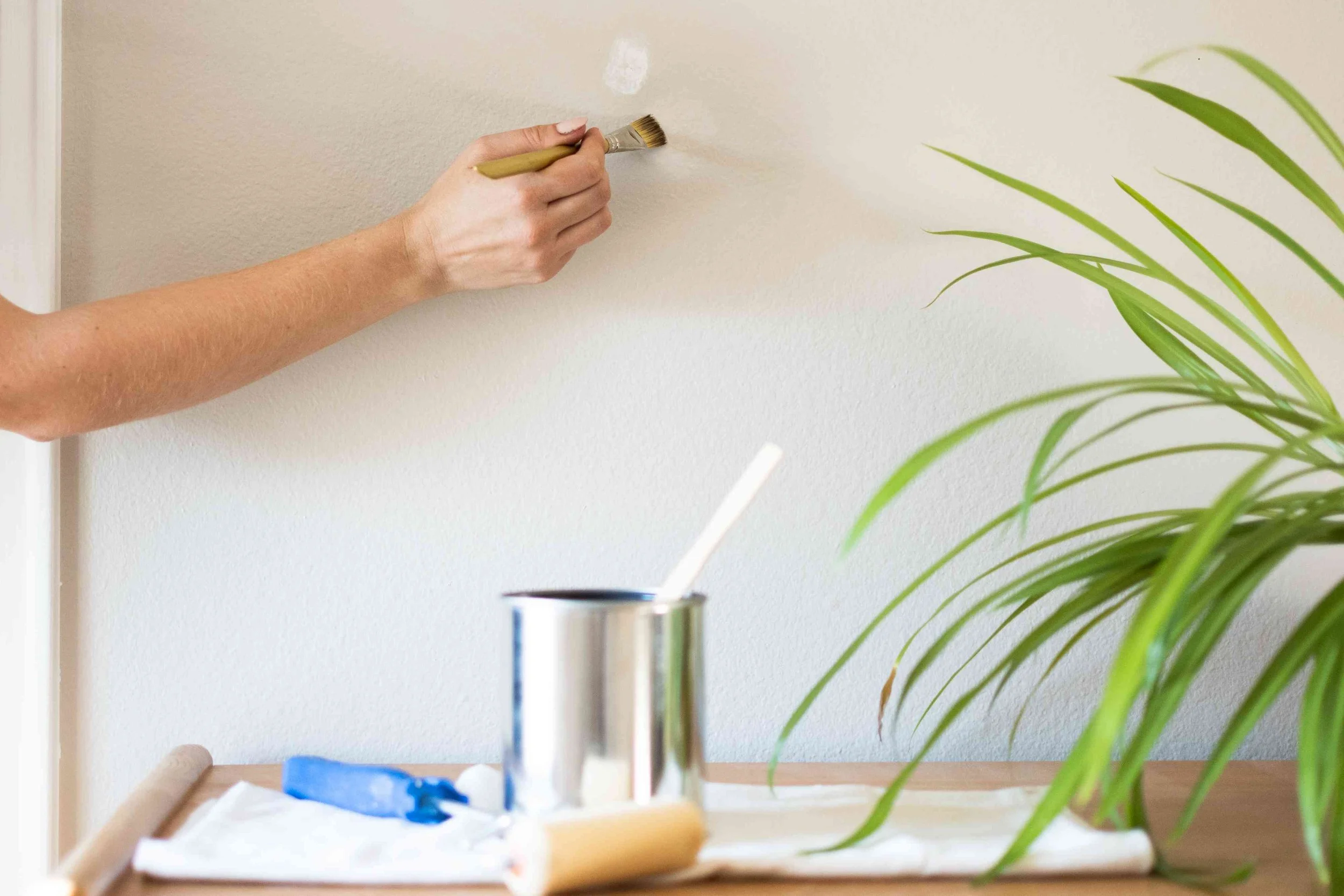 Painting touch ups.jpg