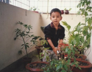 Our plants needed some OJ.