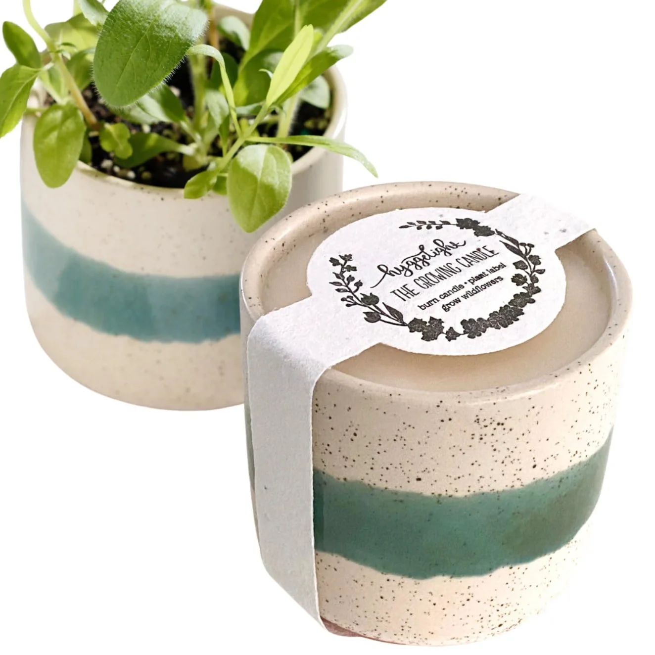 The Growing Candle
