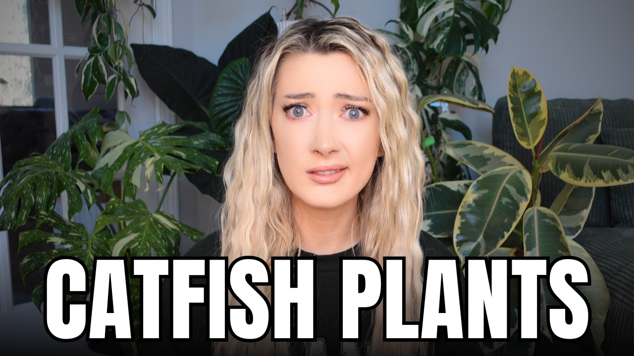 The Plants that Fooled Us All. Houseplants NO ONE should be buying in 2026.