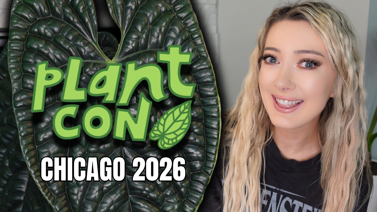 PlantCon Chicago 2026 was UNREAL!