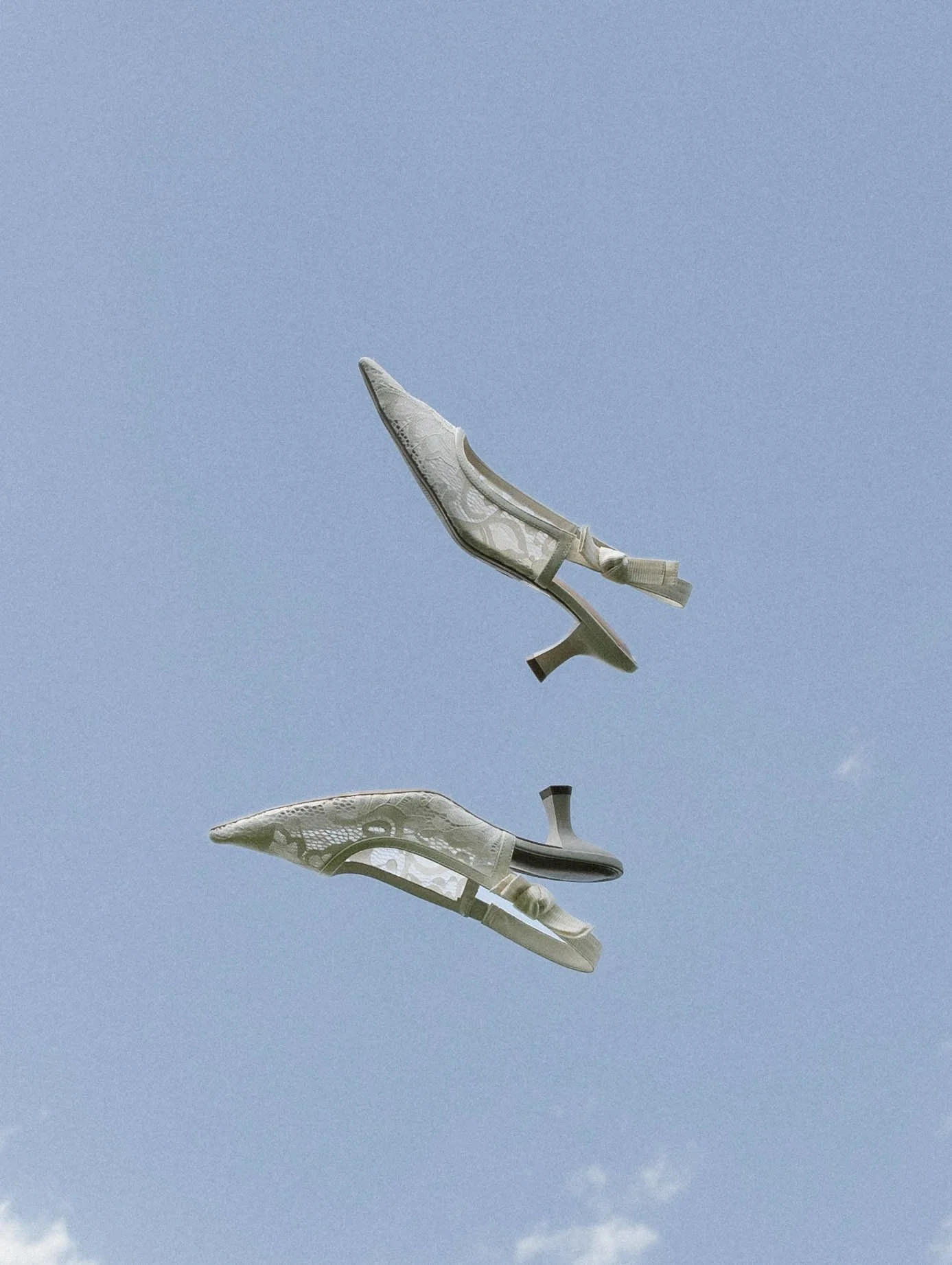 SE5A8914.jpg