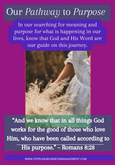 A woman in a white dress gently touching tall grasses outdoors, with overlaid text about seeking purpose and faith, set against a purple border.