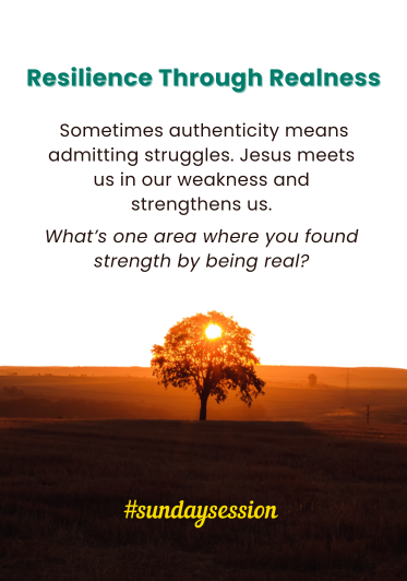 A sunset or sunrise over a field with a single tree in the foreground and a clear sky