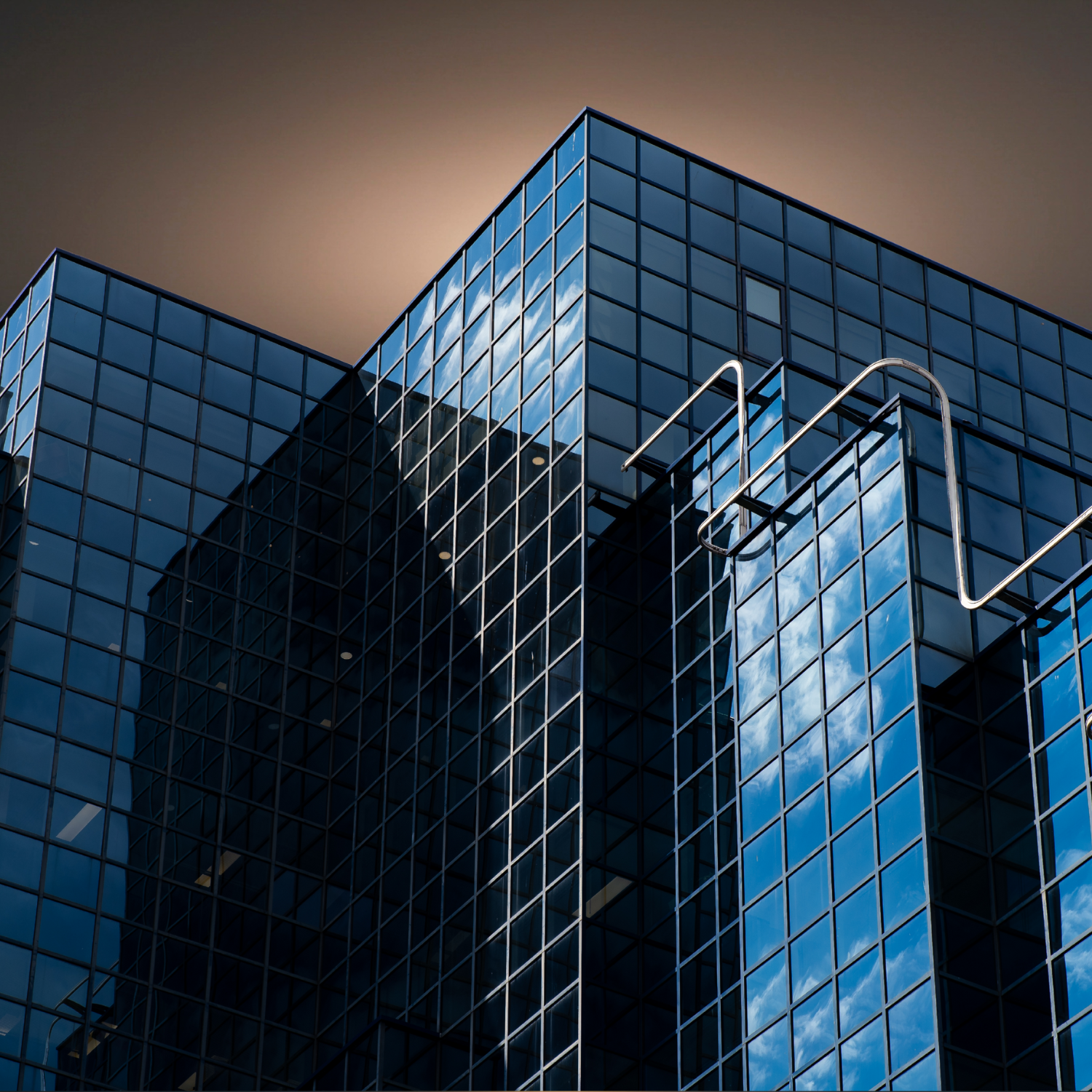 Executive Leadership & Organizational Tools