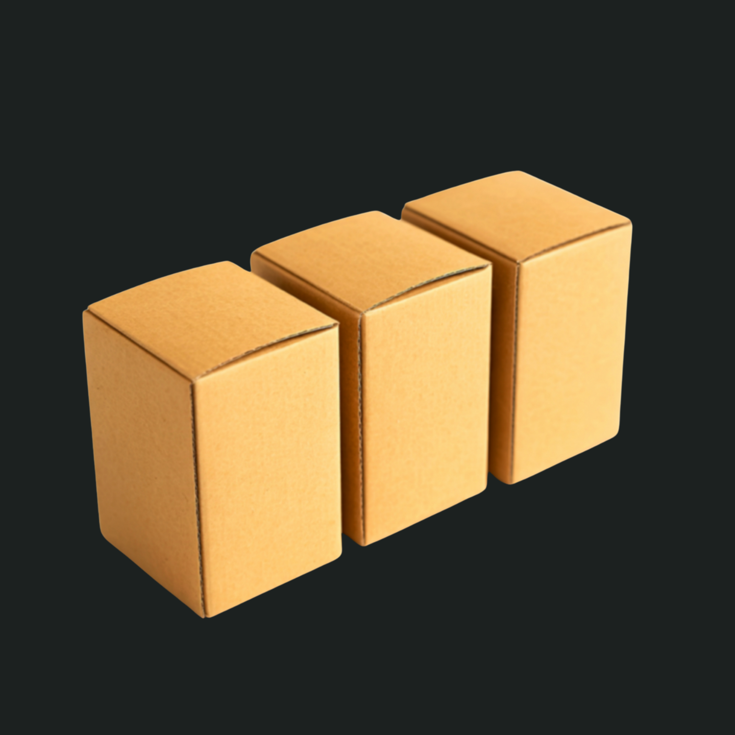 Bundles & Collections