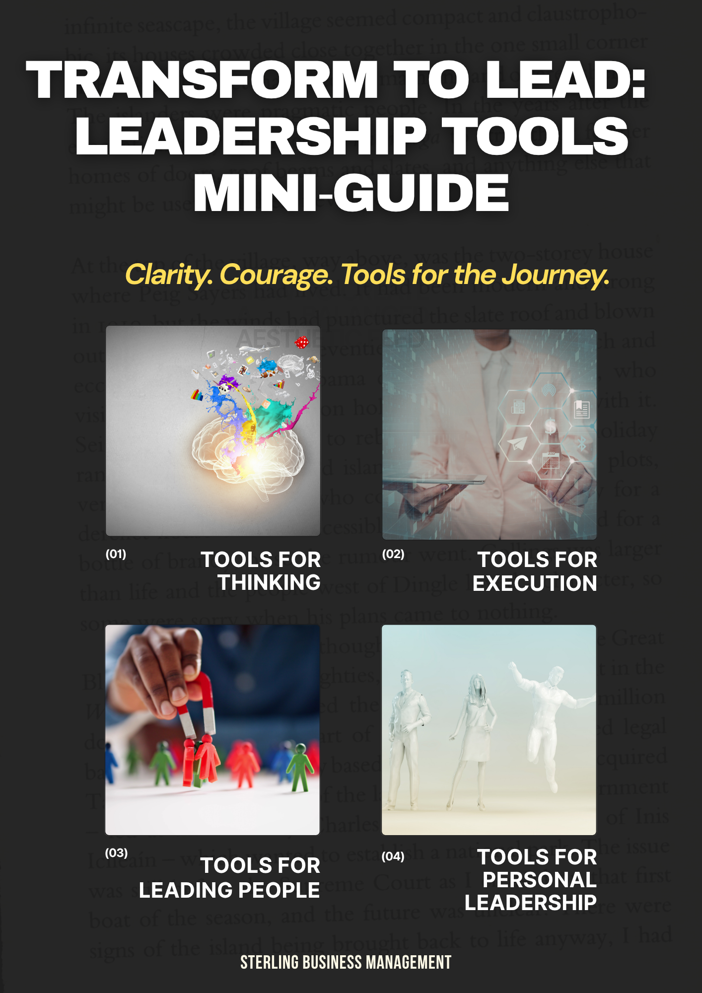Cover page of a leadership tools mini-guide titled 'Transform to Lead: Leadership Tools Mini-Guide'. It gives Clarity. Courage. Tools for the Journey.' and includes help for thinking, execution, leading people, and personal leadership.