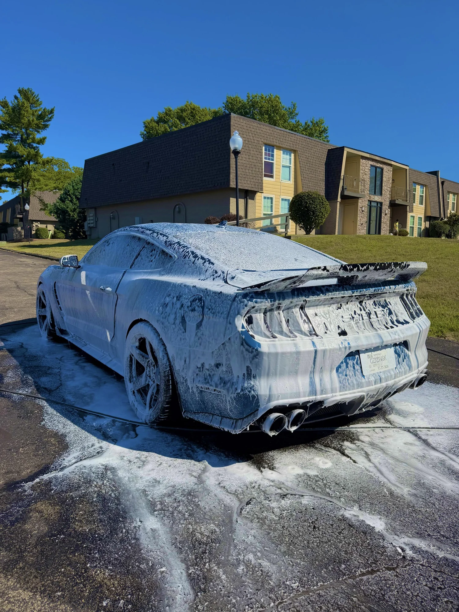 Shelby Mustang during an Evermint exterior detail