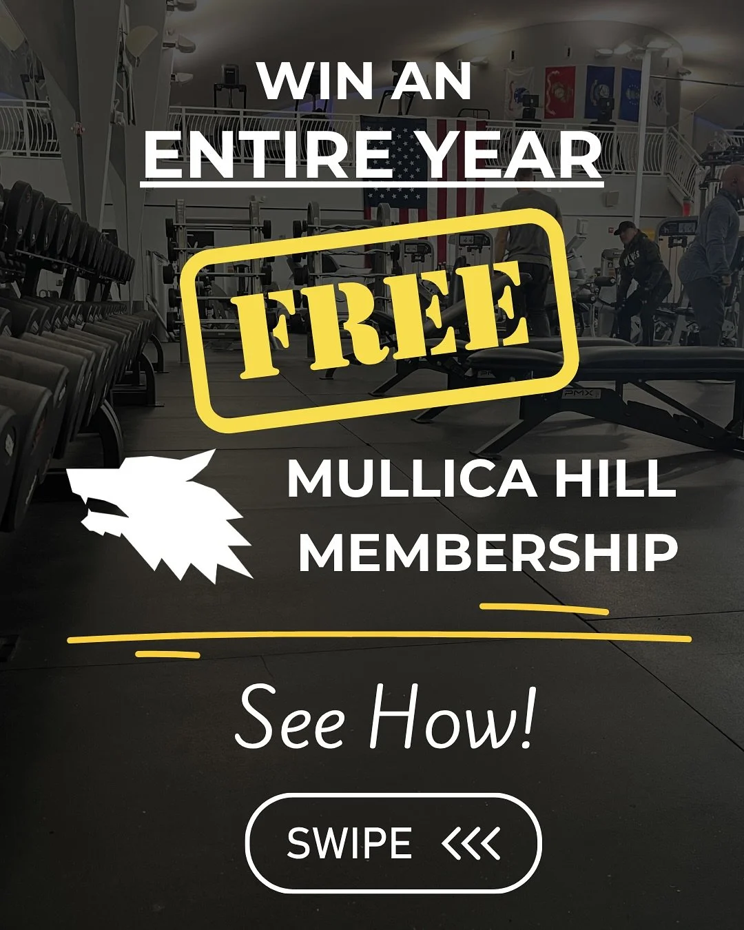There aren&rsquo;t many better values than a membership at WOLF Fitness in Mullica Hill&hellip; unless&hellip;.

It&rsquo;s FREE!

Collab with us on a video, get the most likes, and win an entire year! 

If you see your video is falling behind&hellip