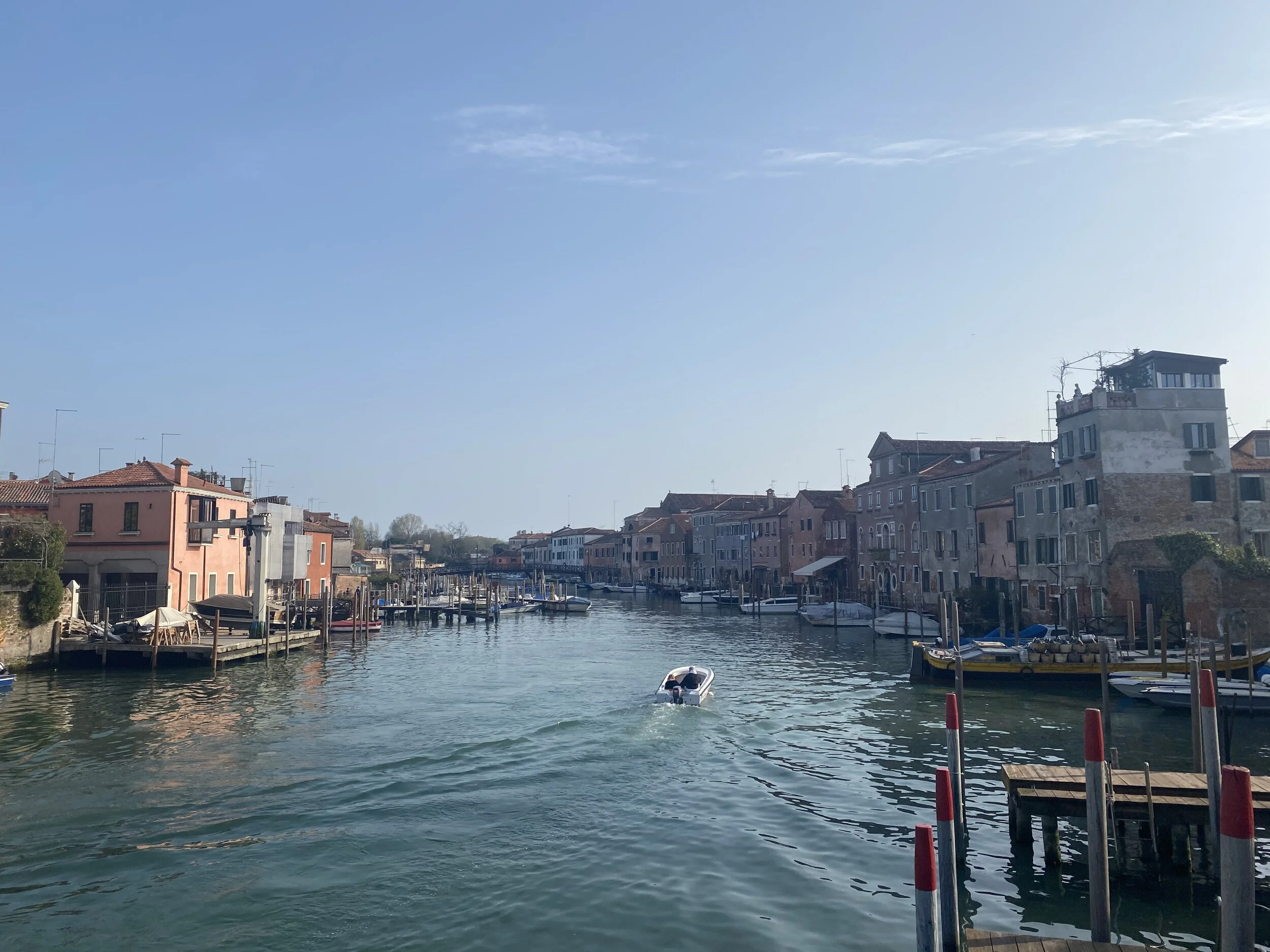 IMG_4286.jpg
