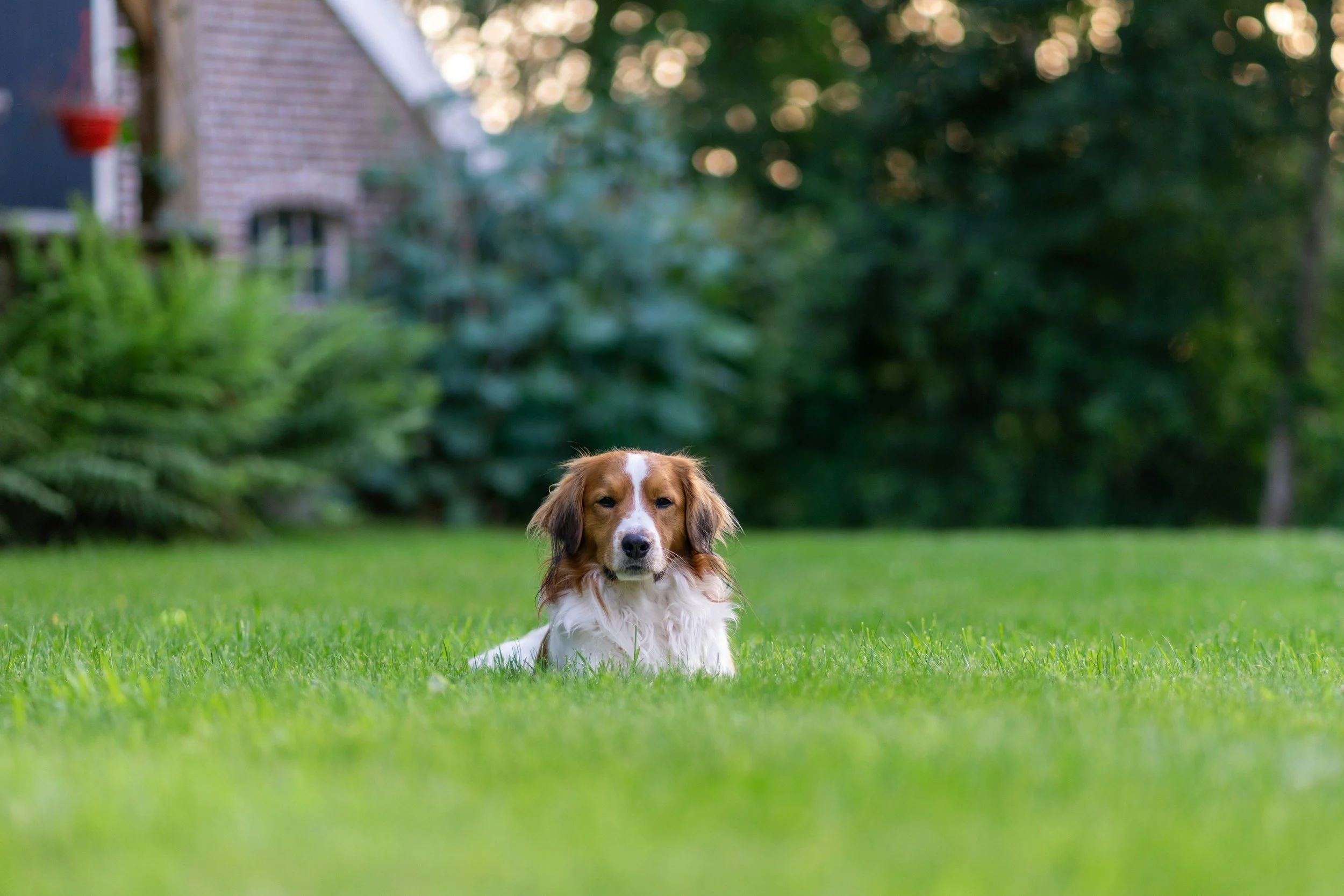 unsplash-image-GfZ9Q1s58Ak.jpg