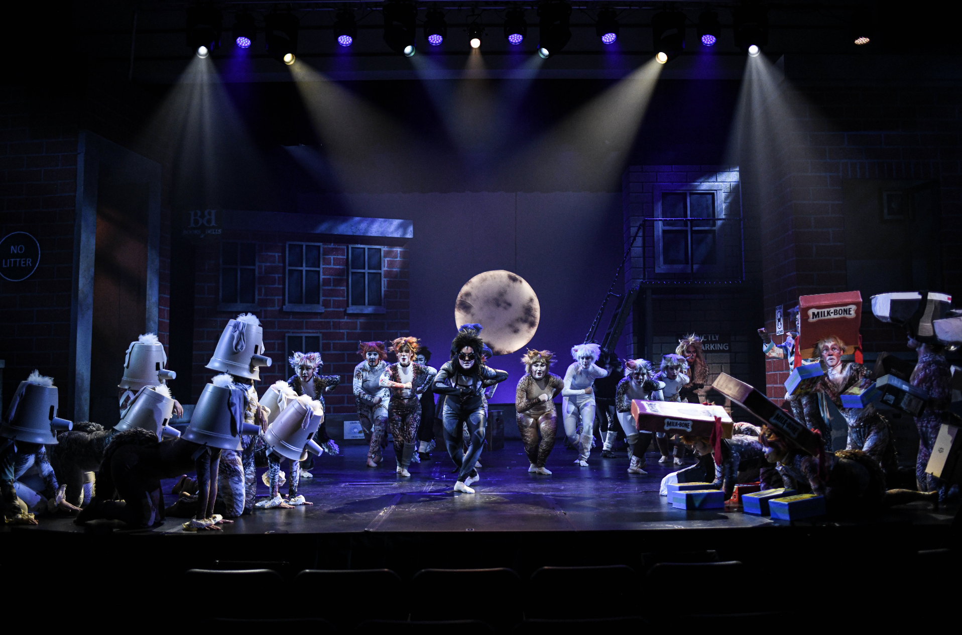 Screenshot 2026-02-03 at 4.11.07 PM.png