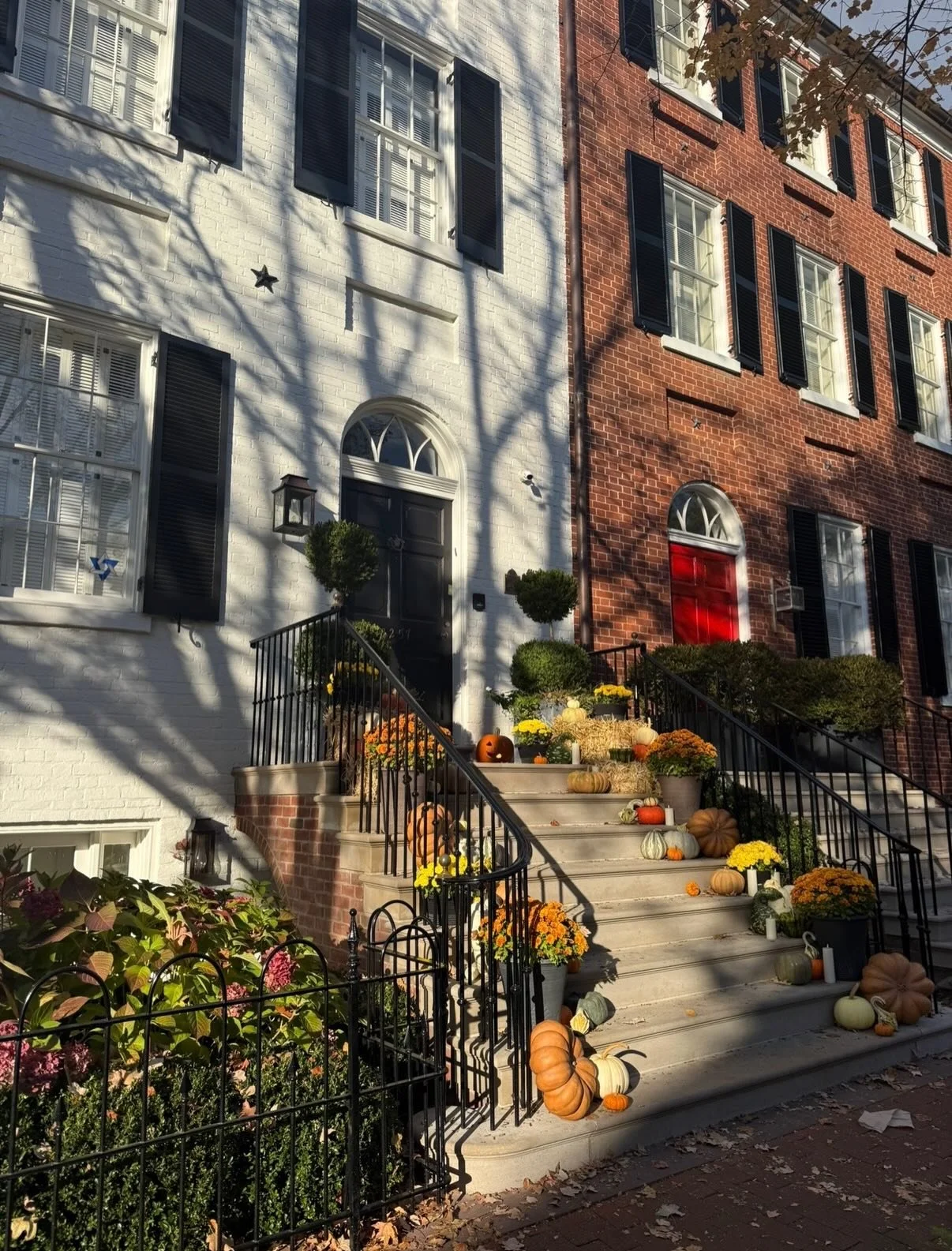 fall all around !!!!!