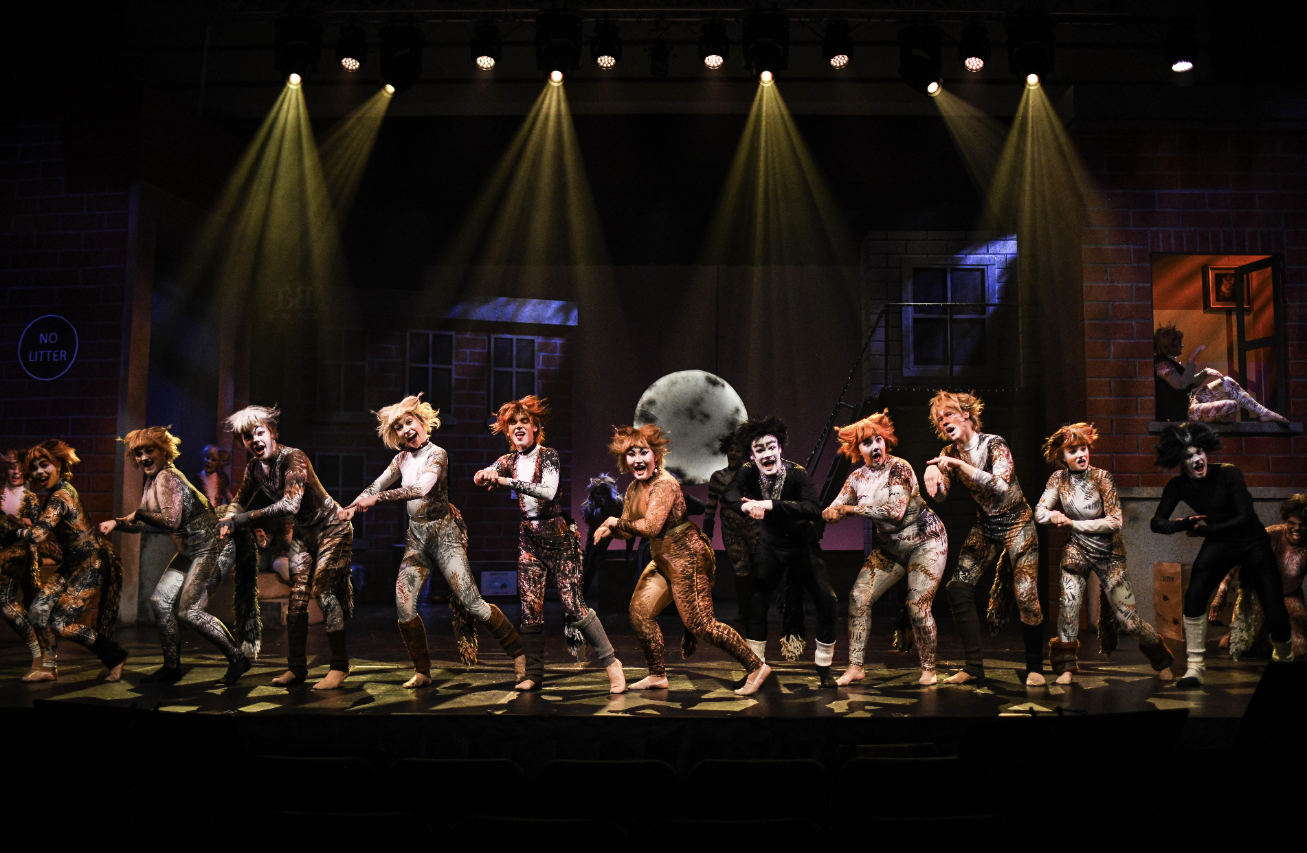 Screenshot 2026-02-03 at 4.11.00 PM.png