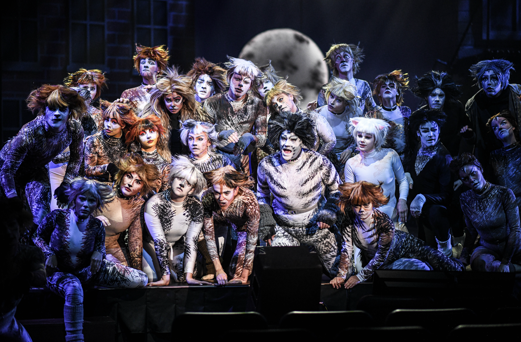 Screenshot 2026-02-03 at 4.11.54 PM.png