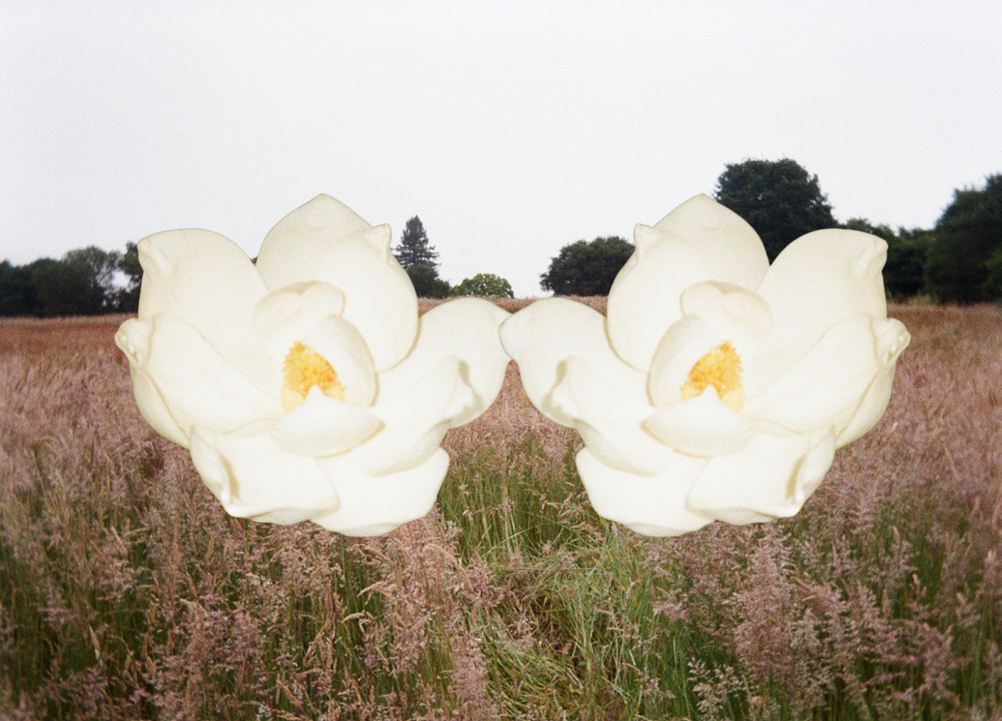 Point, Click, Let Go