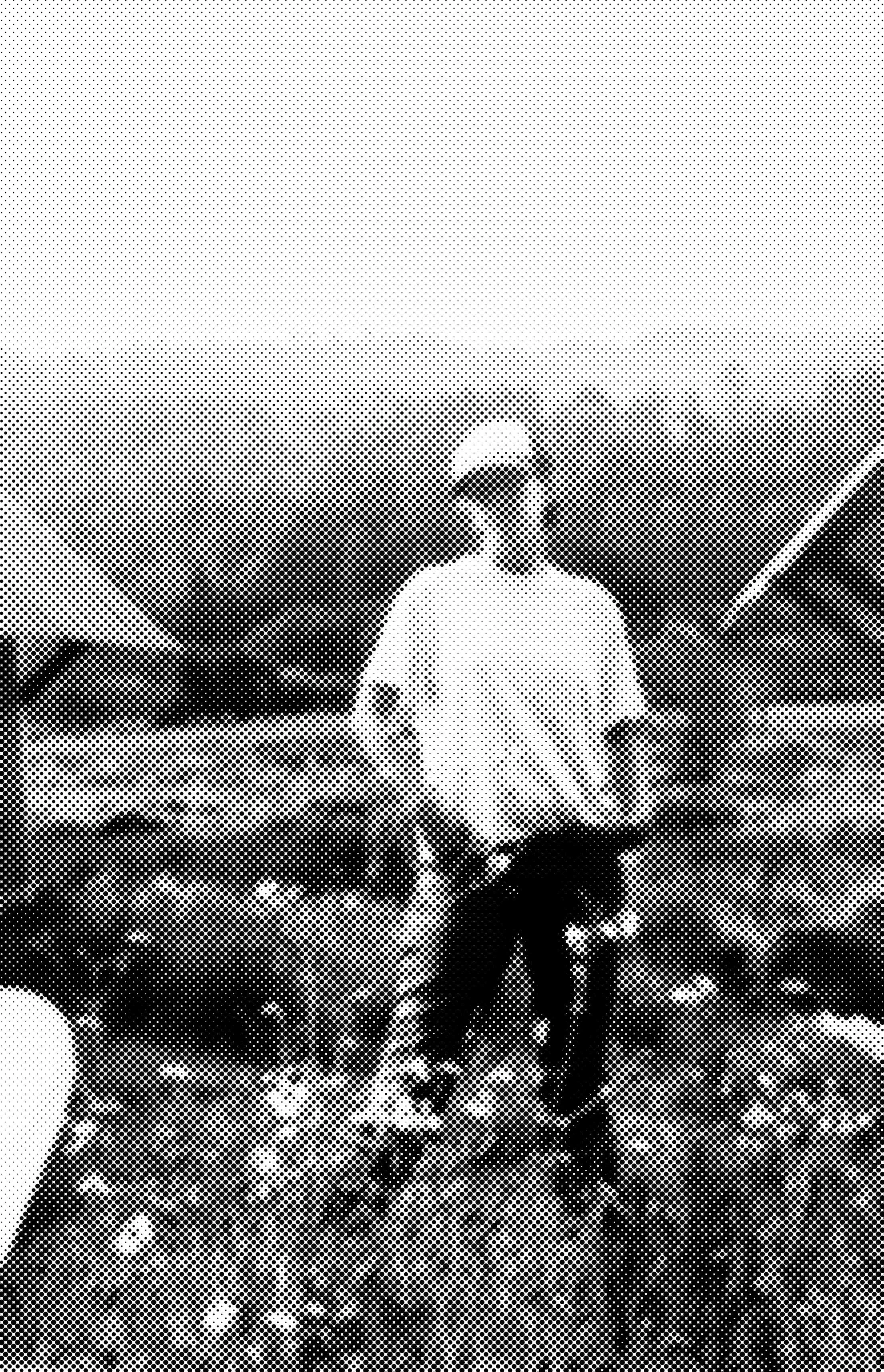 Digital Photo by Little Door. A black-and-white halftone photo of a Little Door on a permaculture farm in Mexico, standing with her hand in her pocket, a white t-shirt, and a baseball hat in a field of wildflowers.