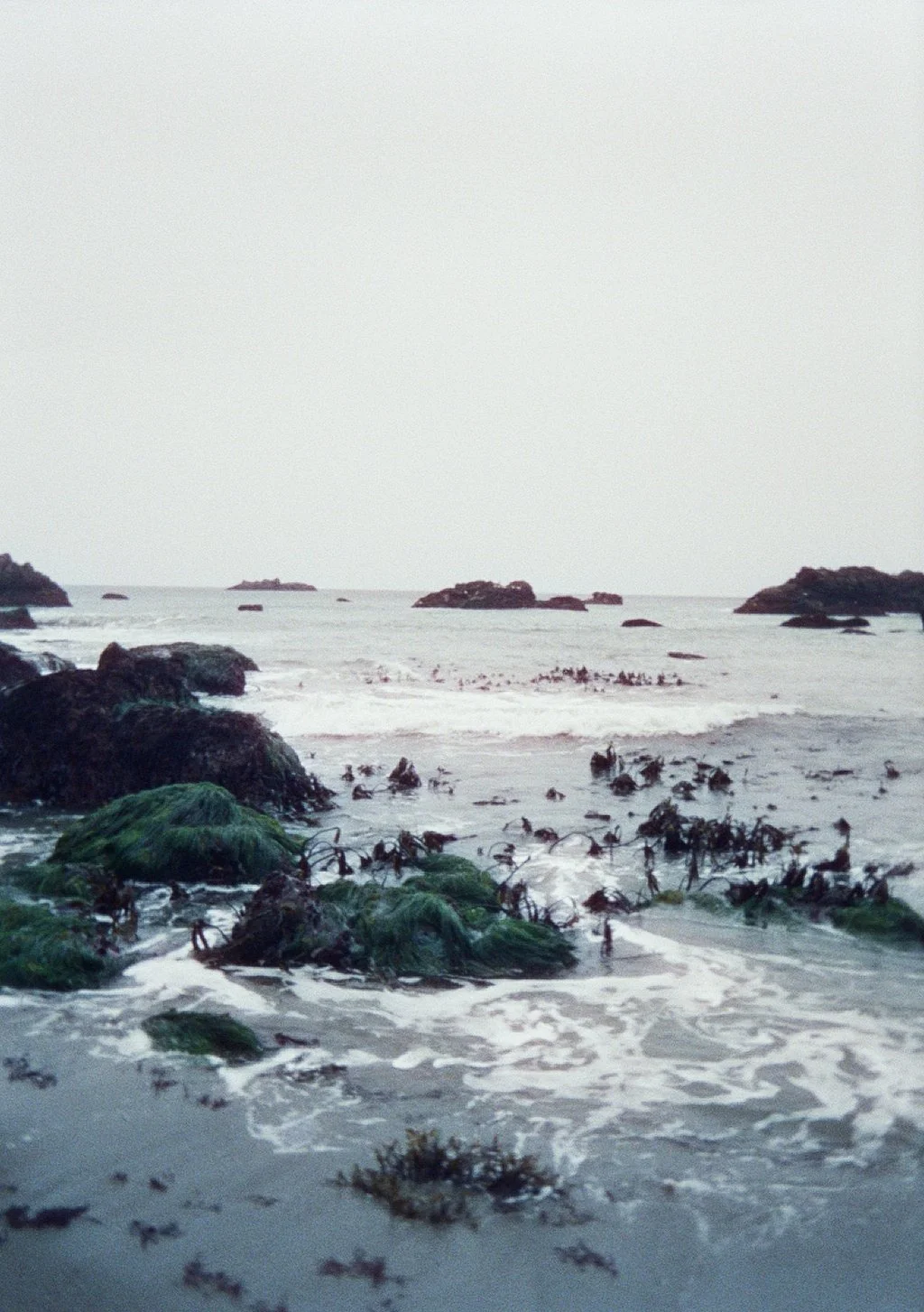 35mm photo by Little Door. Overcast day at the beach with rocky shoreline and seaweed-covered rocks in the foreground; distant rocks and small islands visible across the calm ocean.