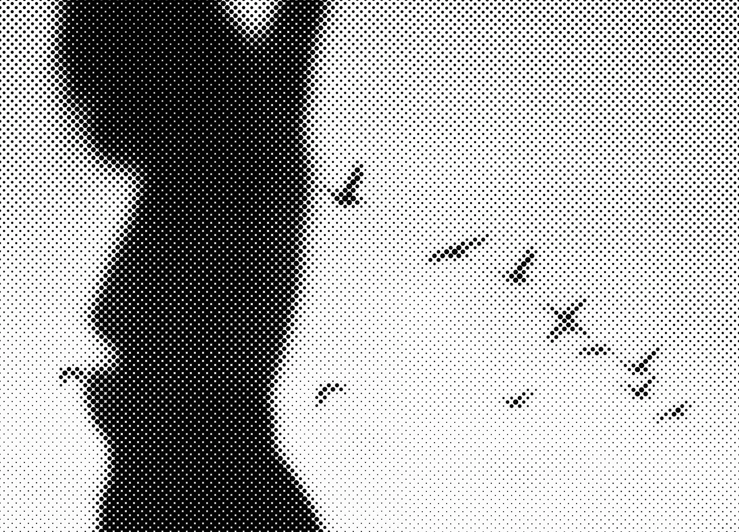 Photo by Jaime Eliza. Little Door in highly pixilated black and white format, her arms spread out like a bird as she watches pelicans in the horizon in a v formation.
