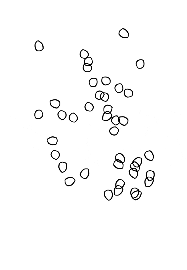 Black outlined irregular circles scattered on a white background.