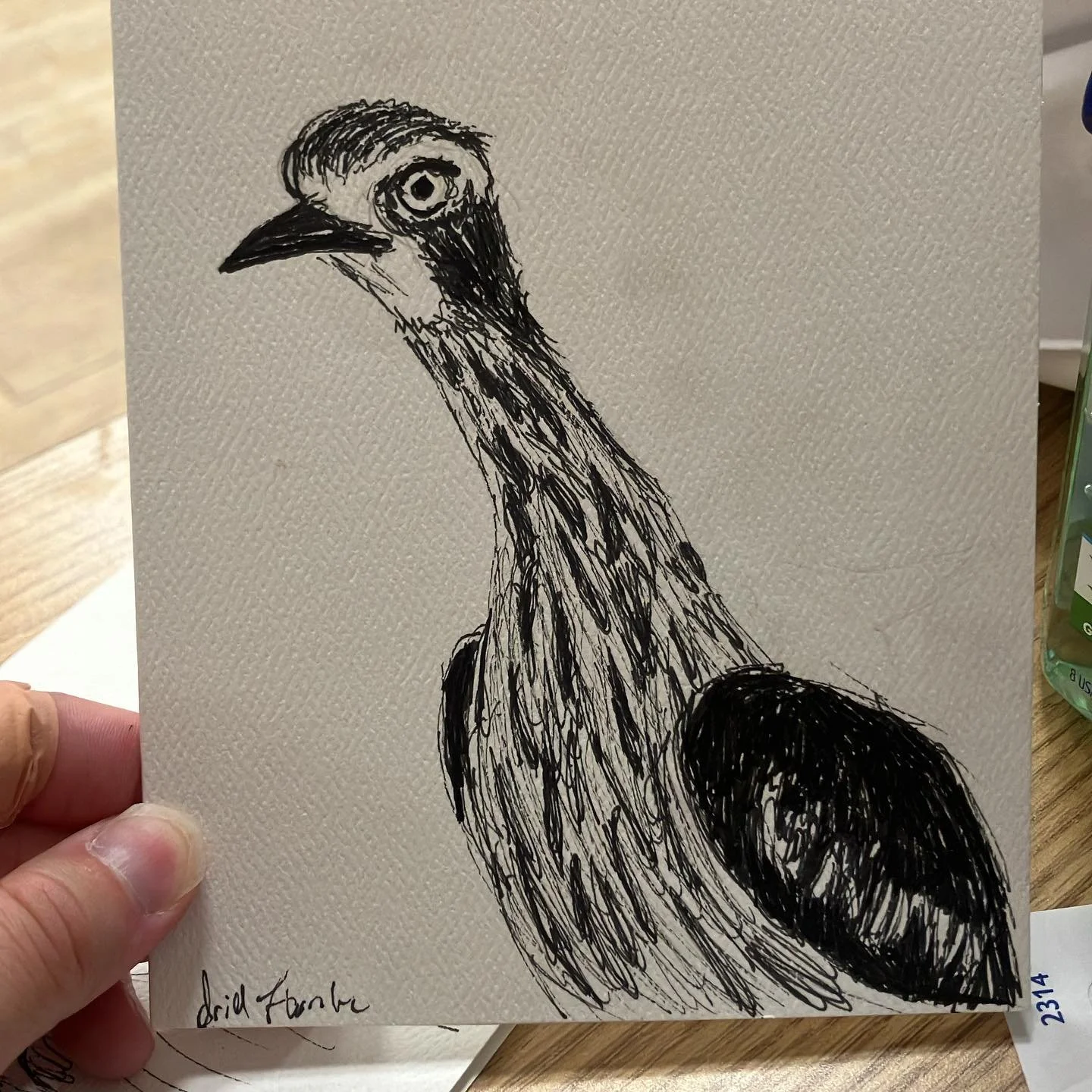 New favourite Australian bird unlocked. Meet the goofy #bushstonecurlew apparently they like to be loud at night and keep people up. Love that.  #myart #australianbirds #ink #torontoartists