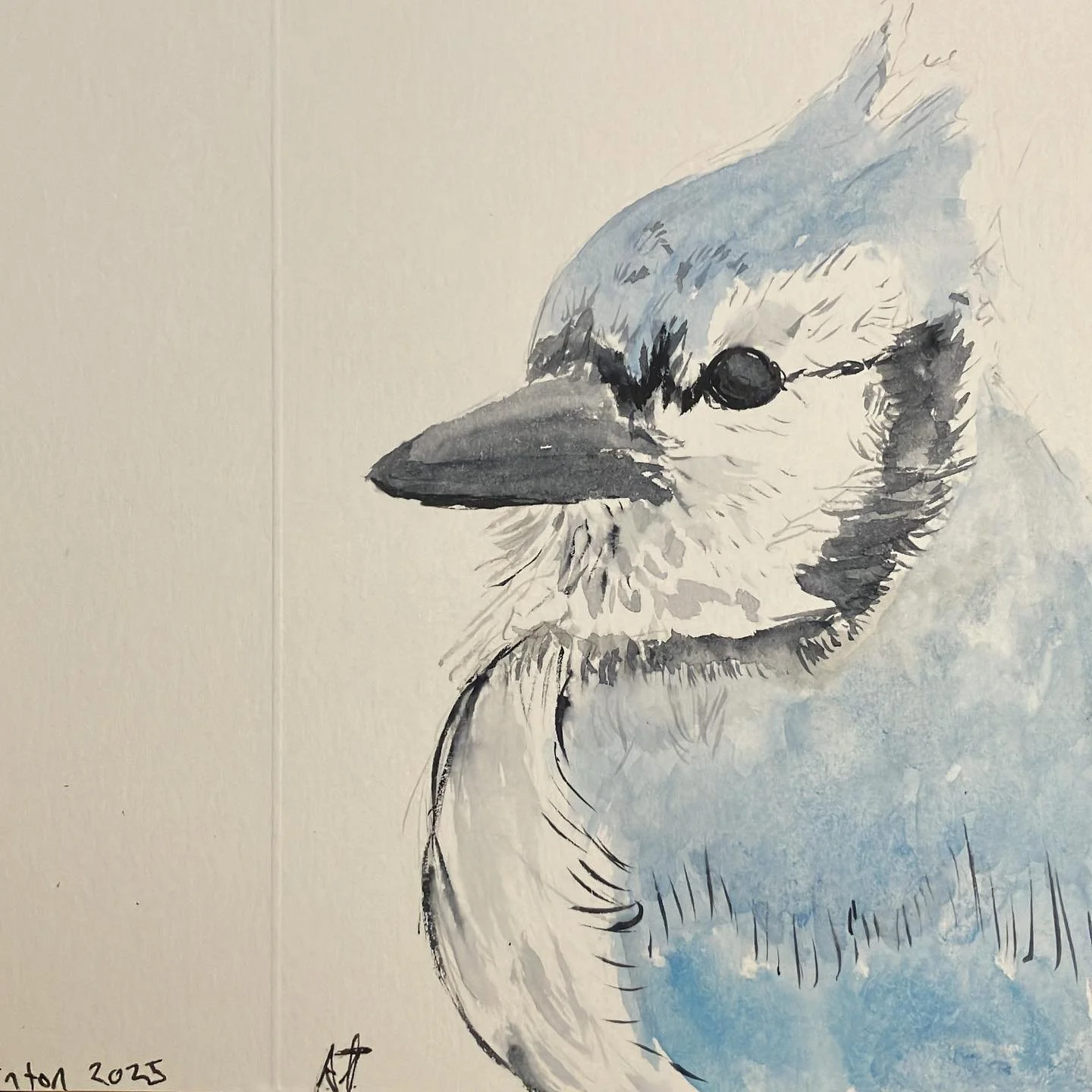 I mean go #bluejays the #birds though. Well the team too. Anyway. #myart #watercolor #watercolour #birdart