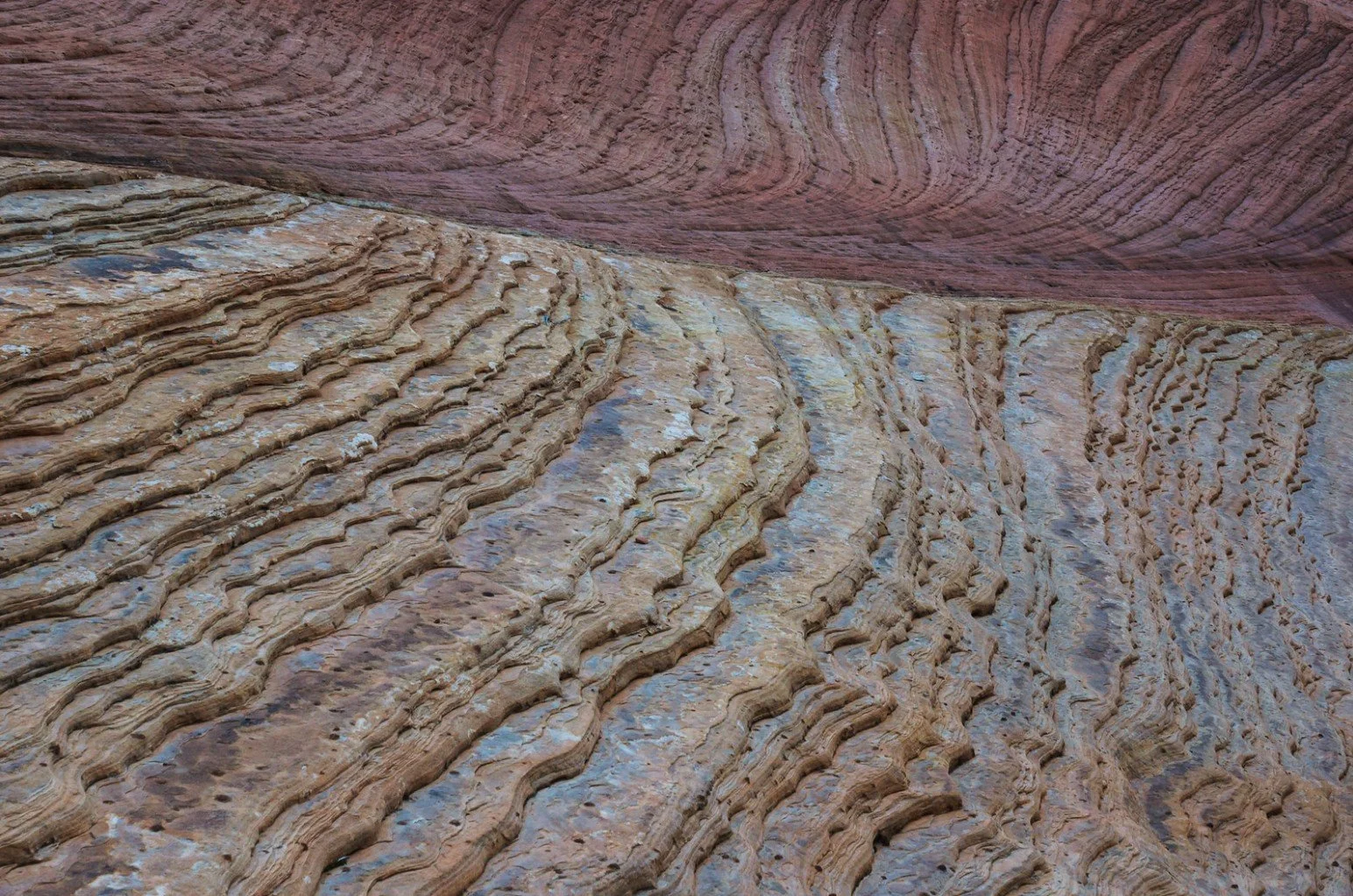 Melting Rock Checkerboard Mesa, Zion. Sunrise was somewhat uneventful, but the patterns in these rocks even in the soft hazy light of the morning was mesmerizing.jpg