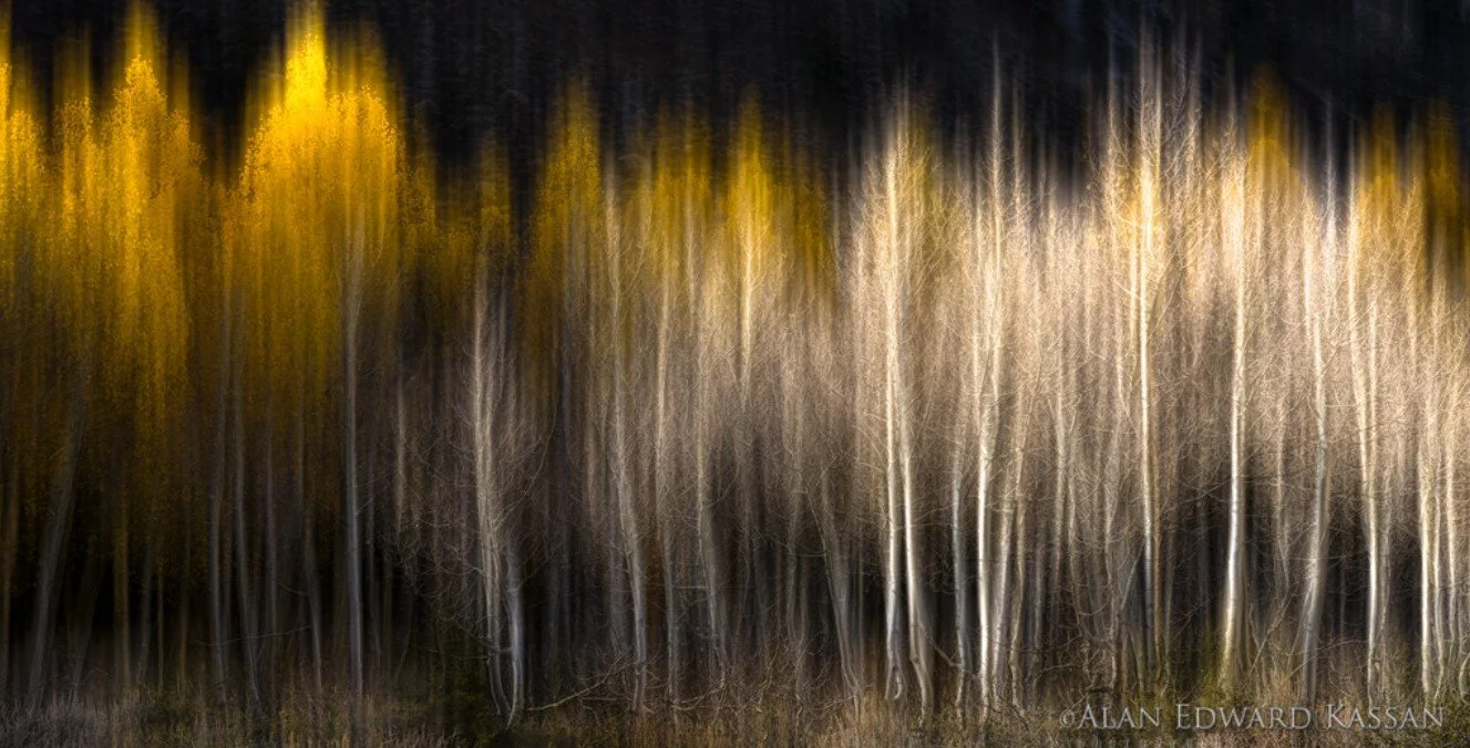 Aspen Apparitions.jpg