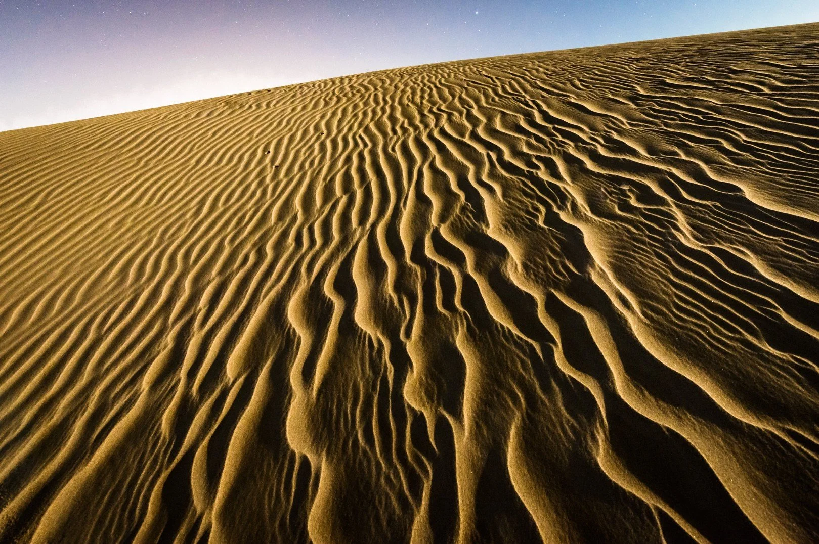 Dune Under Moon Sand dunes illuminated by a rising moon.jpg