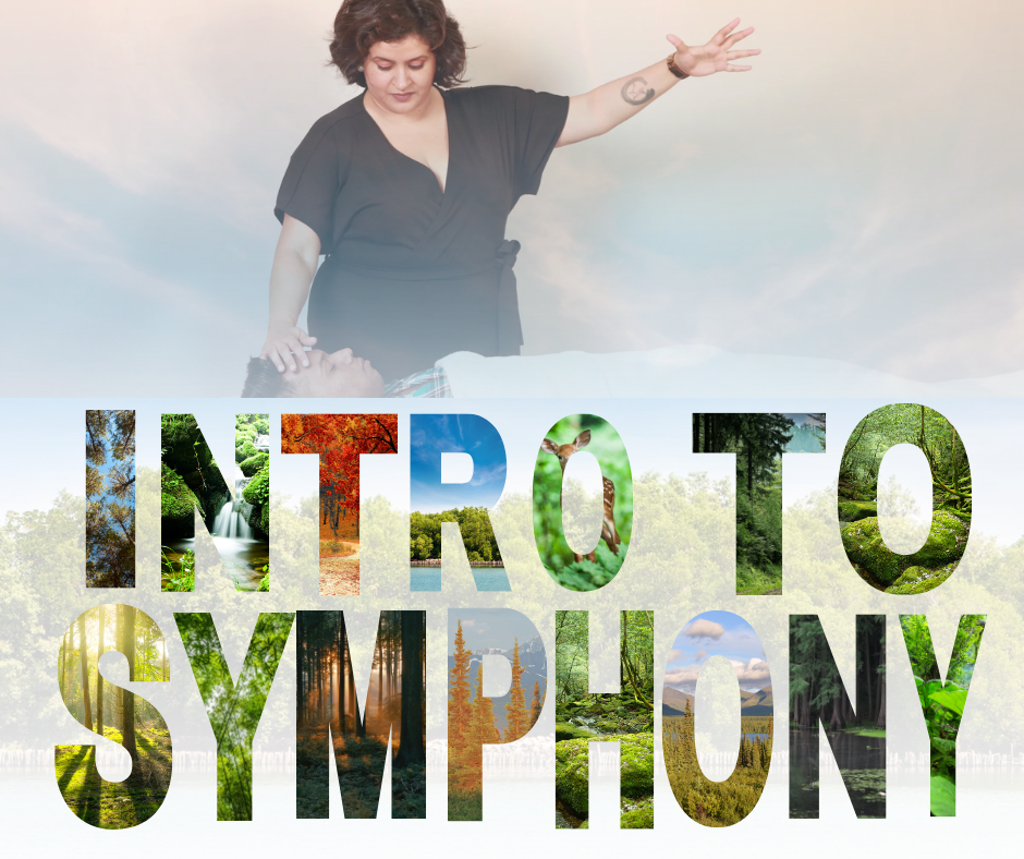 Introduction To Symphony
