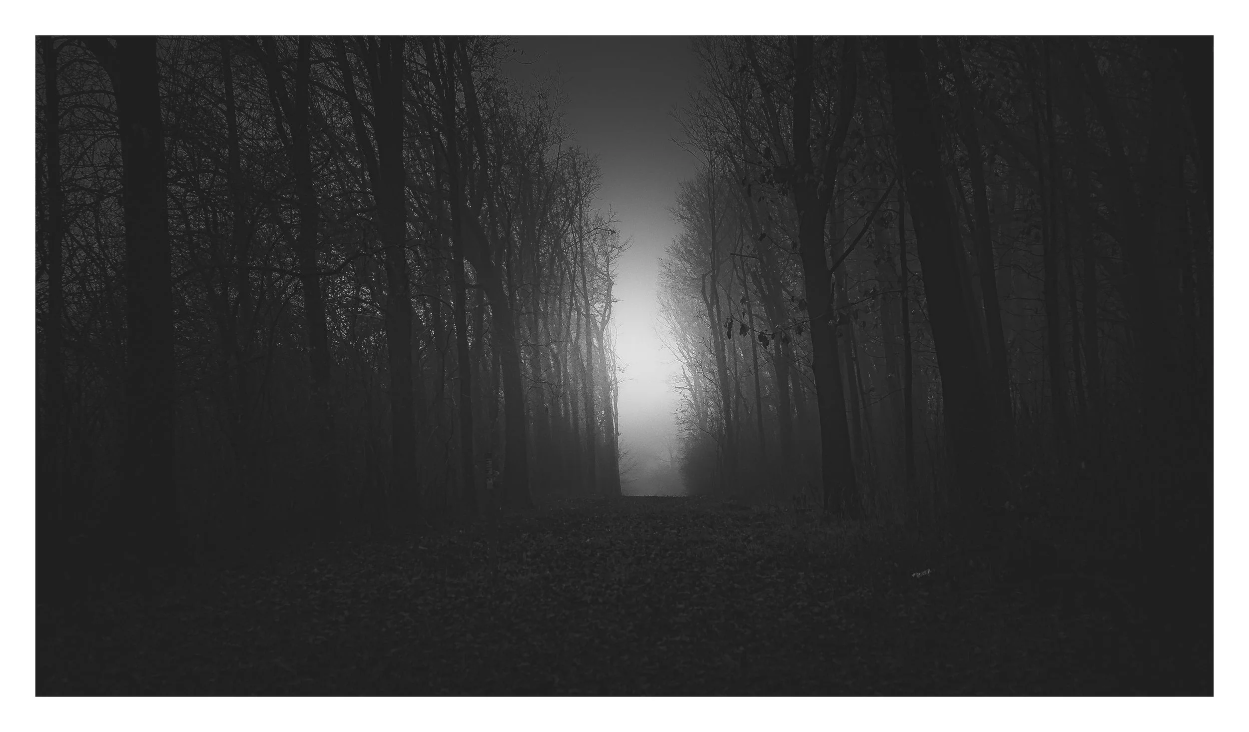 IMG_2535 (1).jpg
