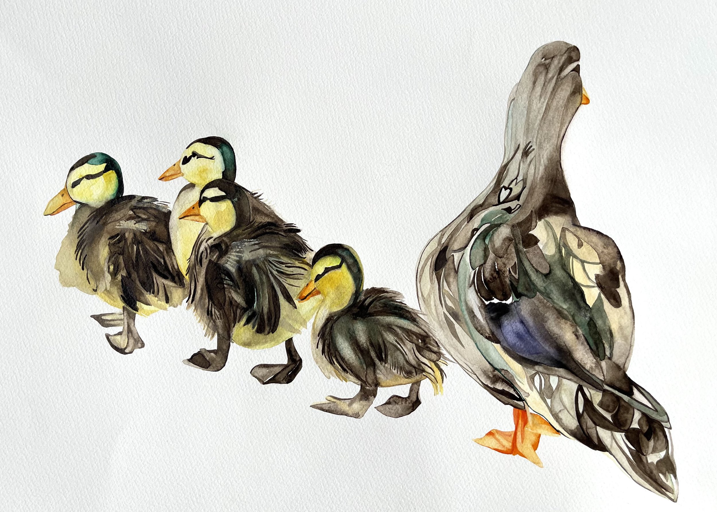 ducks.jpg