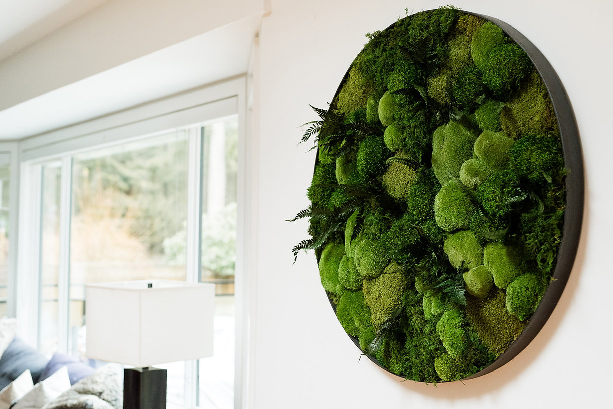 e903b7_555251a41bdb418fb413c28d343e5048~mv2 3.png