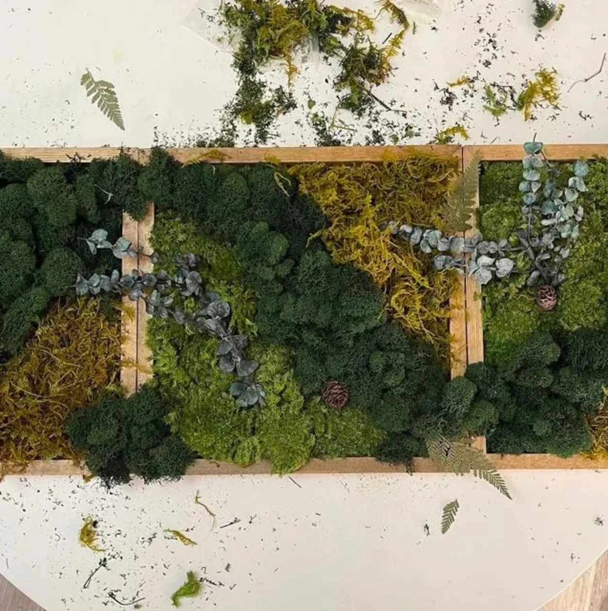 ClientReview_5_copy6 3.jpg