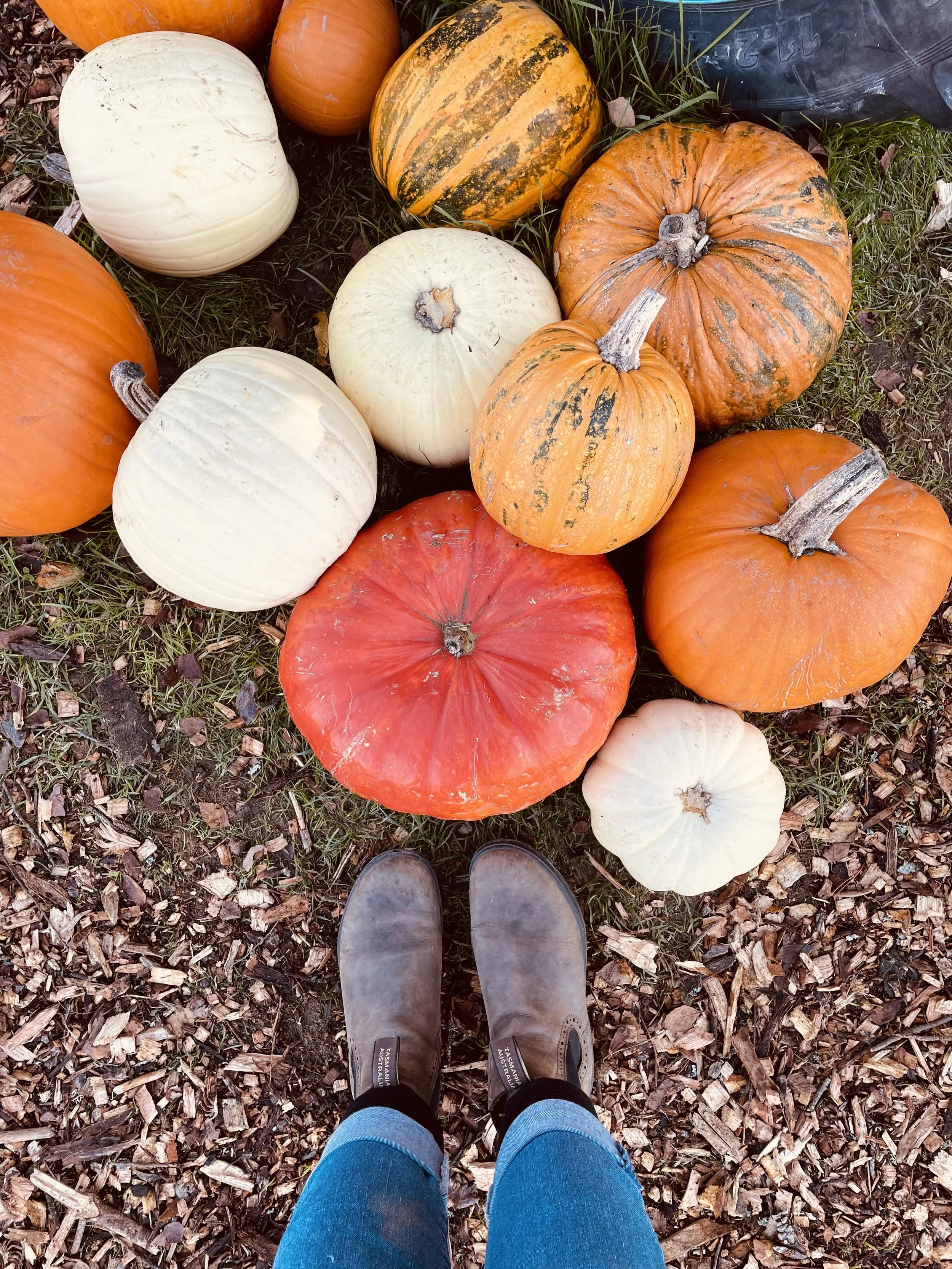 Three Simple Seasonal Practices to Cultivate Abundance</span>