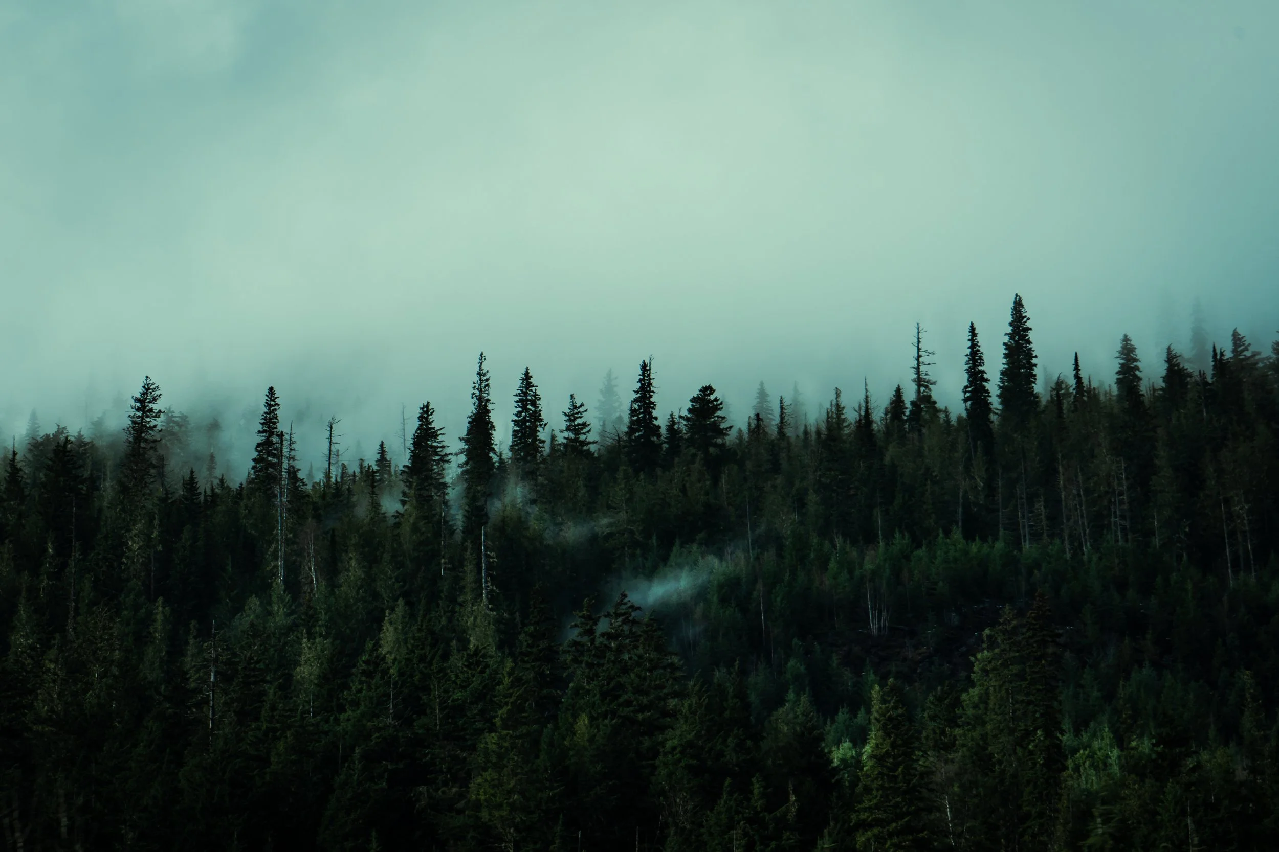 Ethereal Fog 16x24″