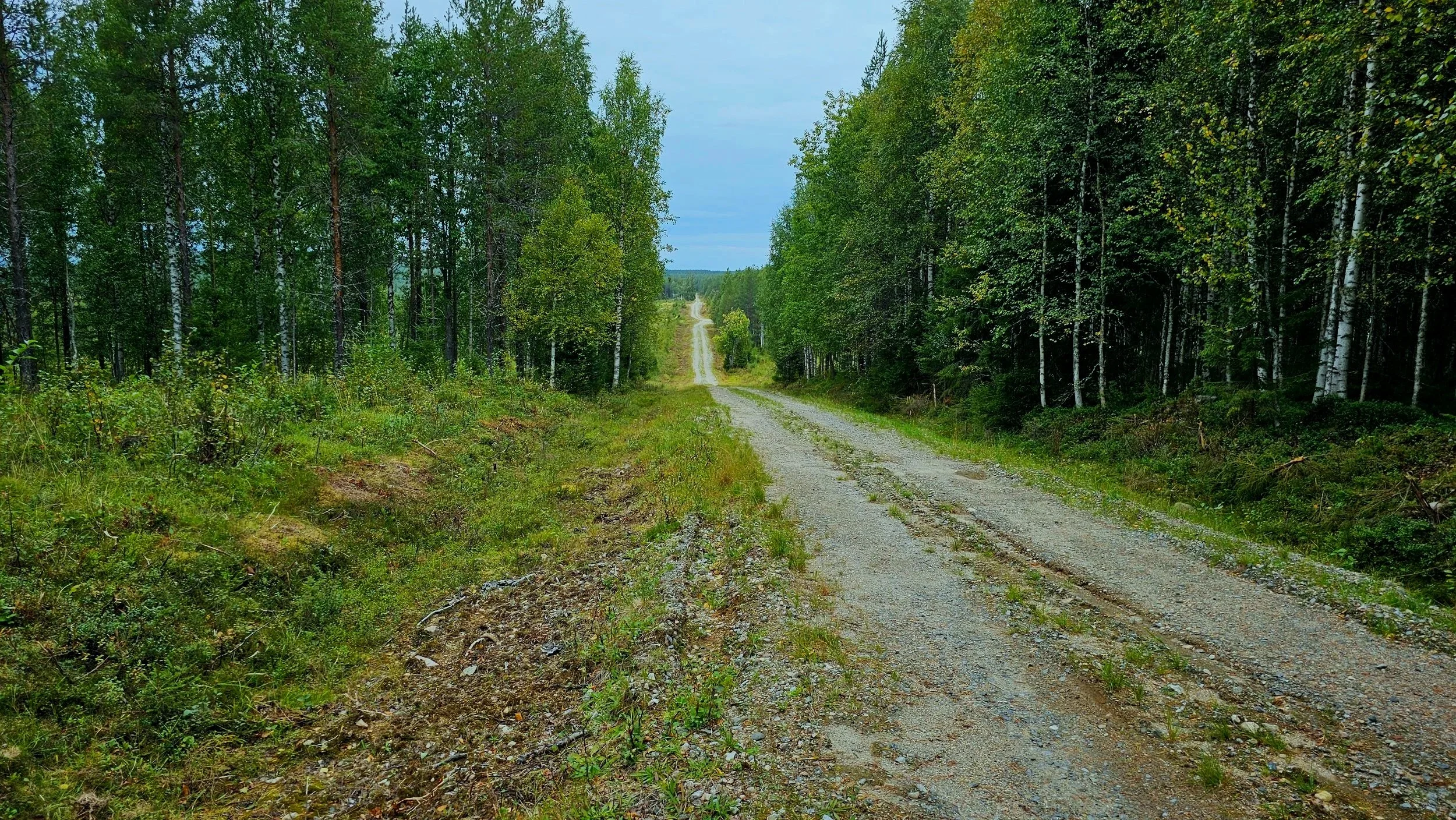 DocWerstas tuotanto Osaran aukeat