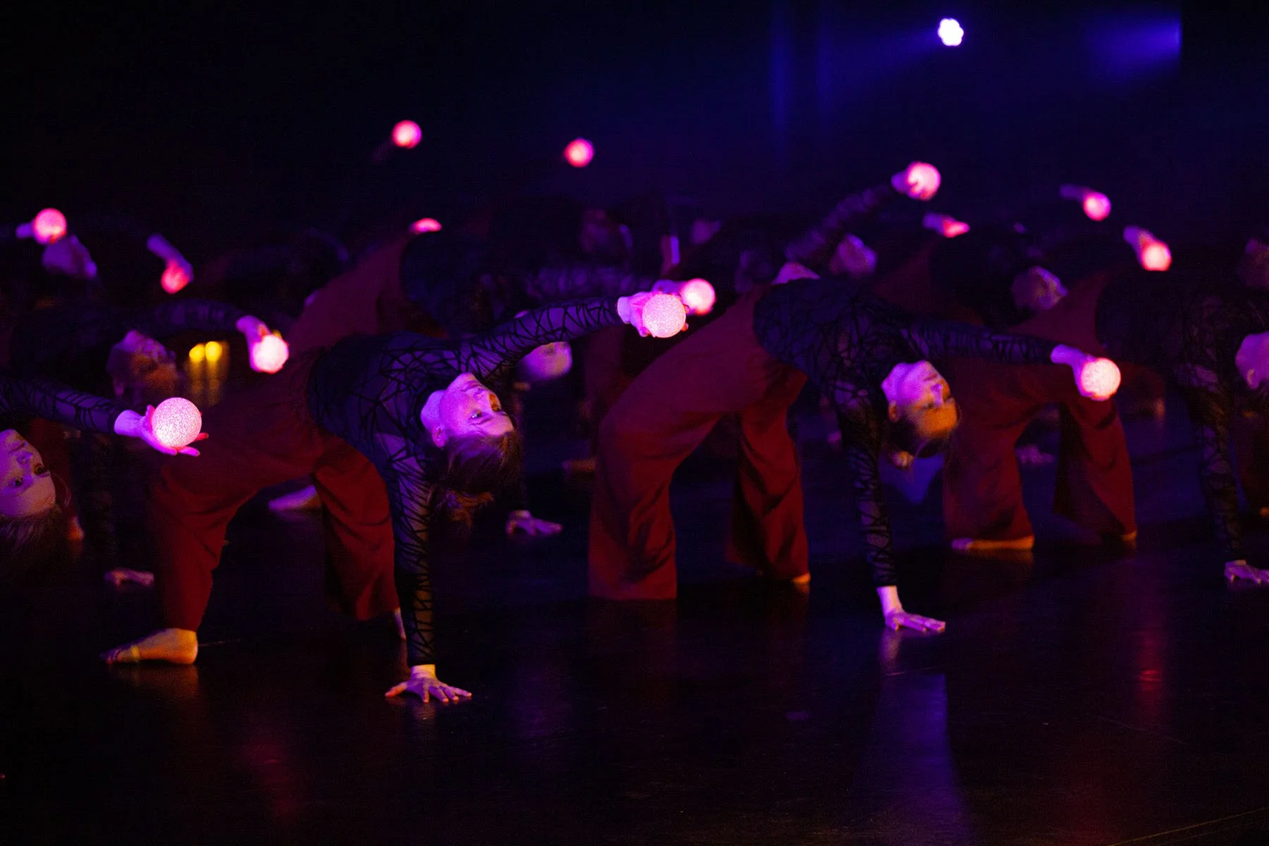 _MG_6412_050.jpg