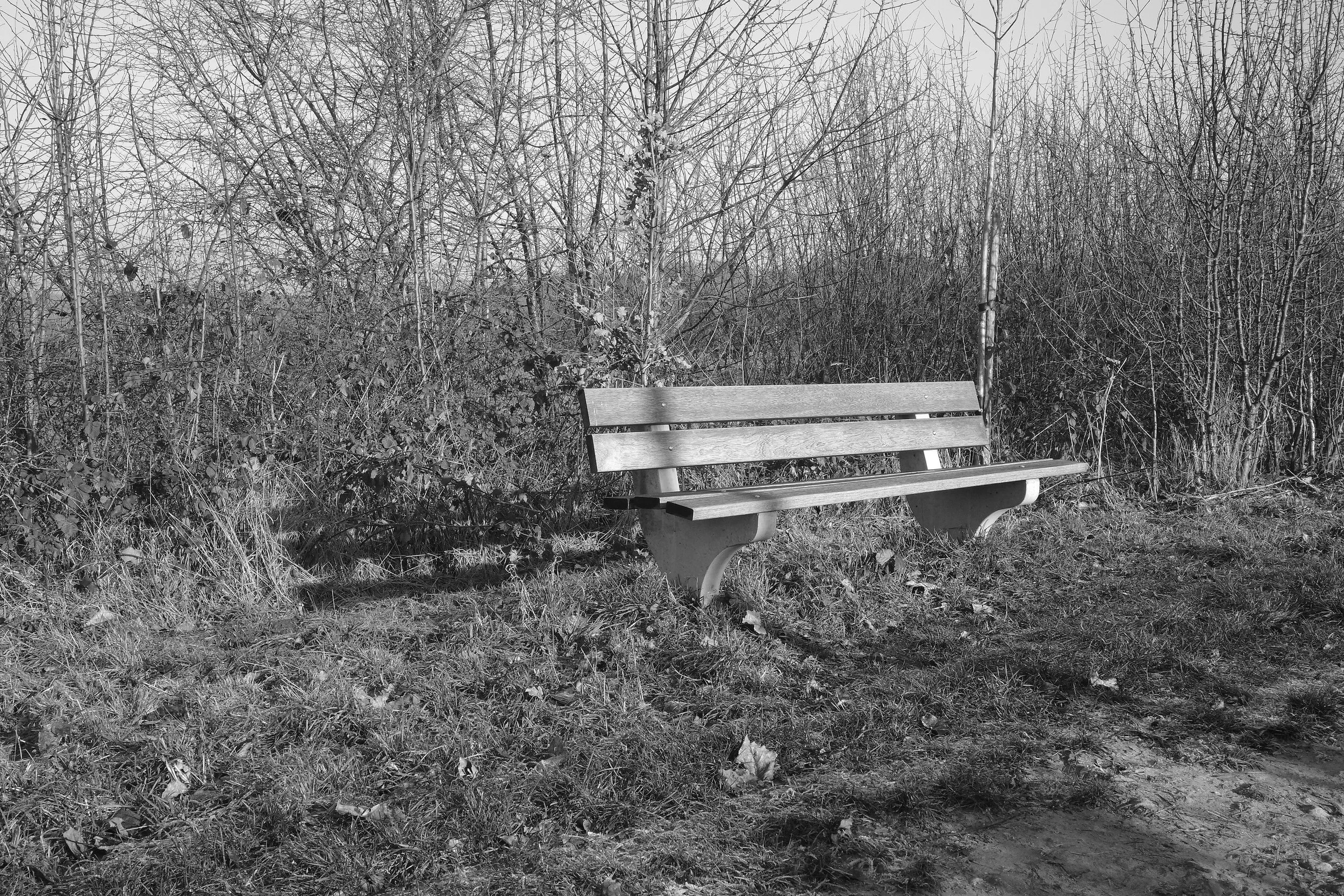 R0001655_RICOH IMAGING COMPANY, LTD._26-12-25_WEB.jpg