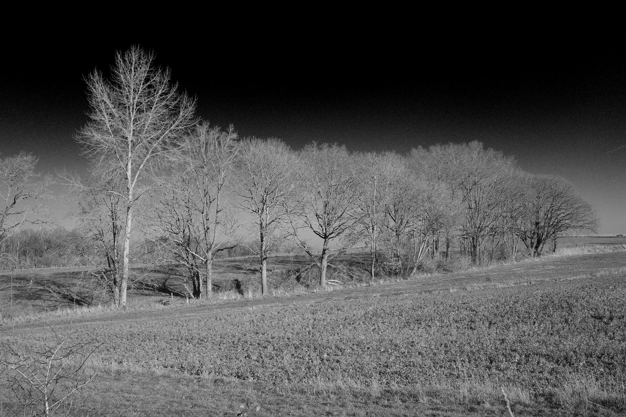 R0001646_RICOH IMAGING COMPANY, LTD._26-12-25_WEB.jpg