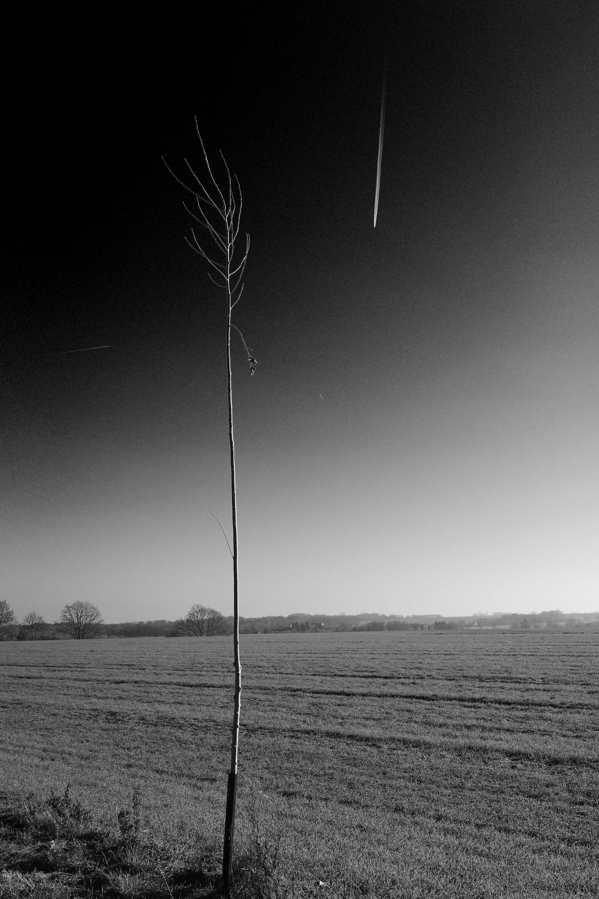 R0001639_RICOH IMAGING COMPANY, LTD._26-12-25_WEB.jpg