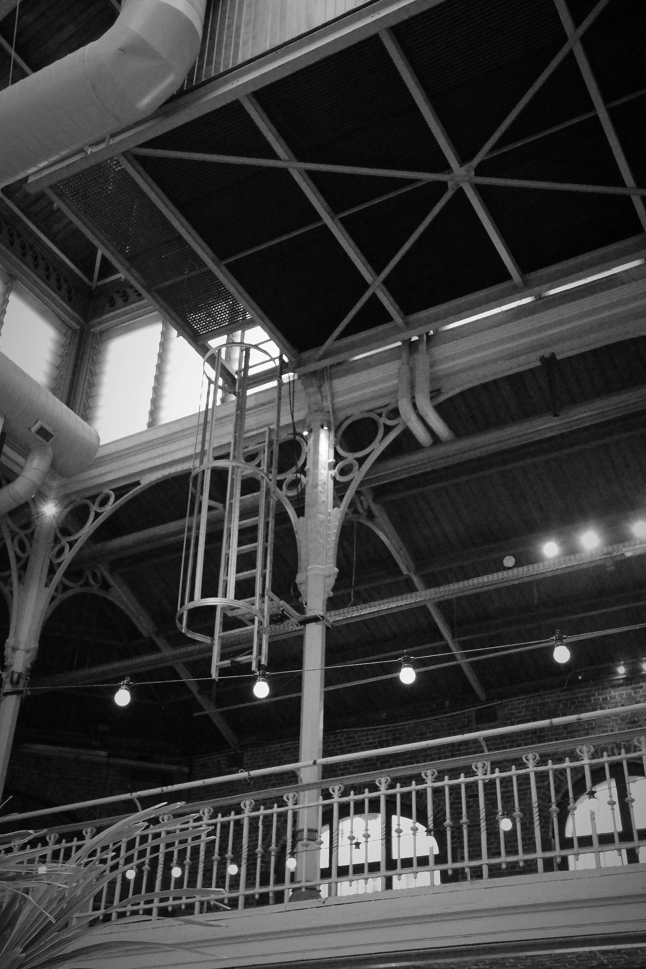 R0001529_RICOH IMAGING COMPANY, LTD._20-12-25_WEB.jpg