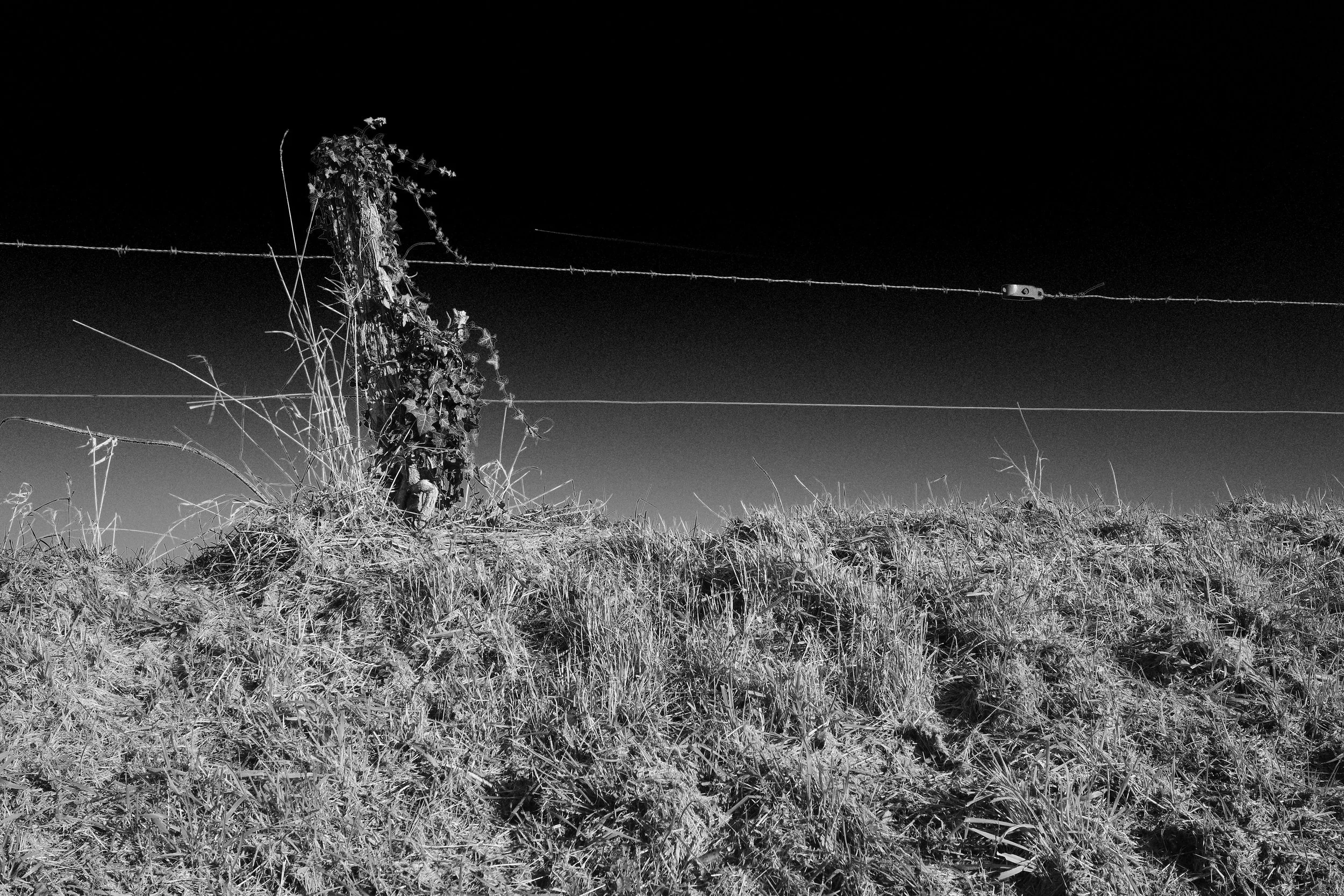 R0001636_RICOH IMAGING COMPANY, LTD._26-12-25_WEB.jpg