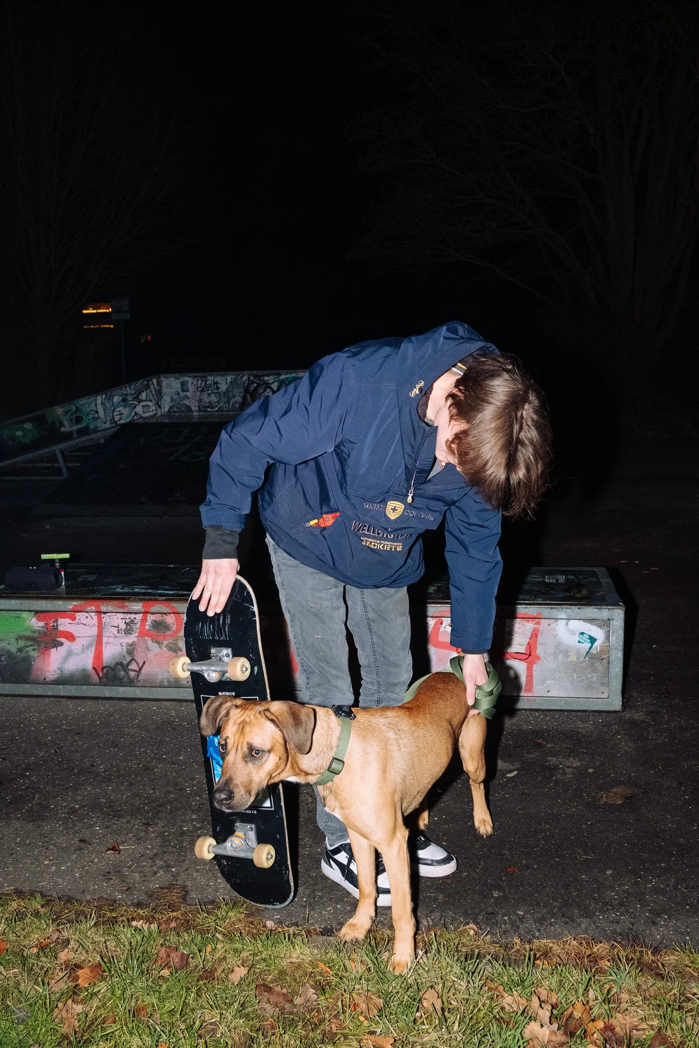 Junge Person mit Hund auf Skateboard bei Nacht, Park mit Skaterbahn im Hintergrund, auf Asphalt und Gras